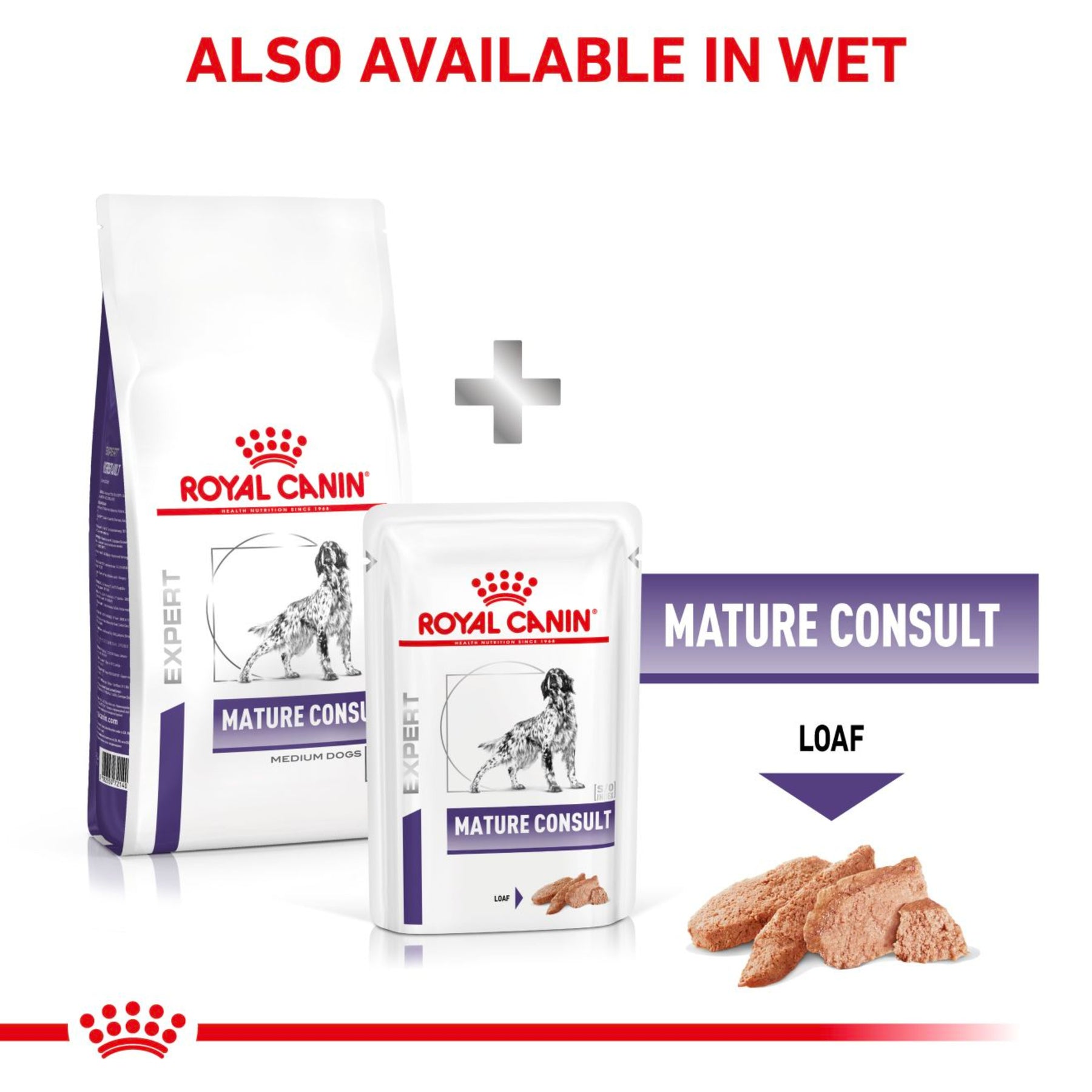 ROYAL CANIN Senior Consult Mature Dry Dog Food