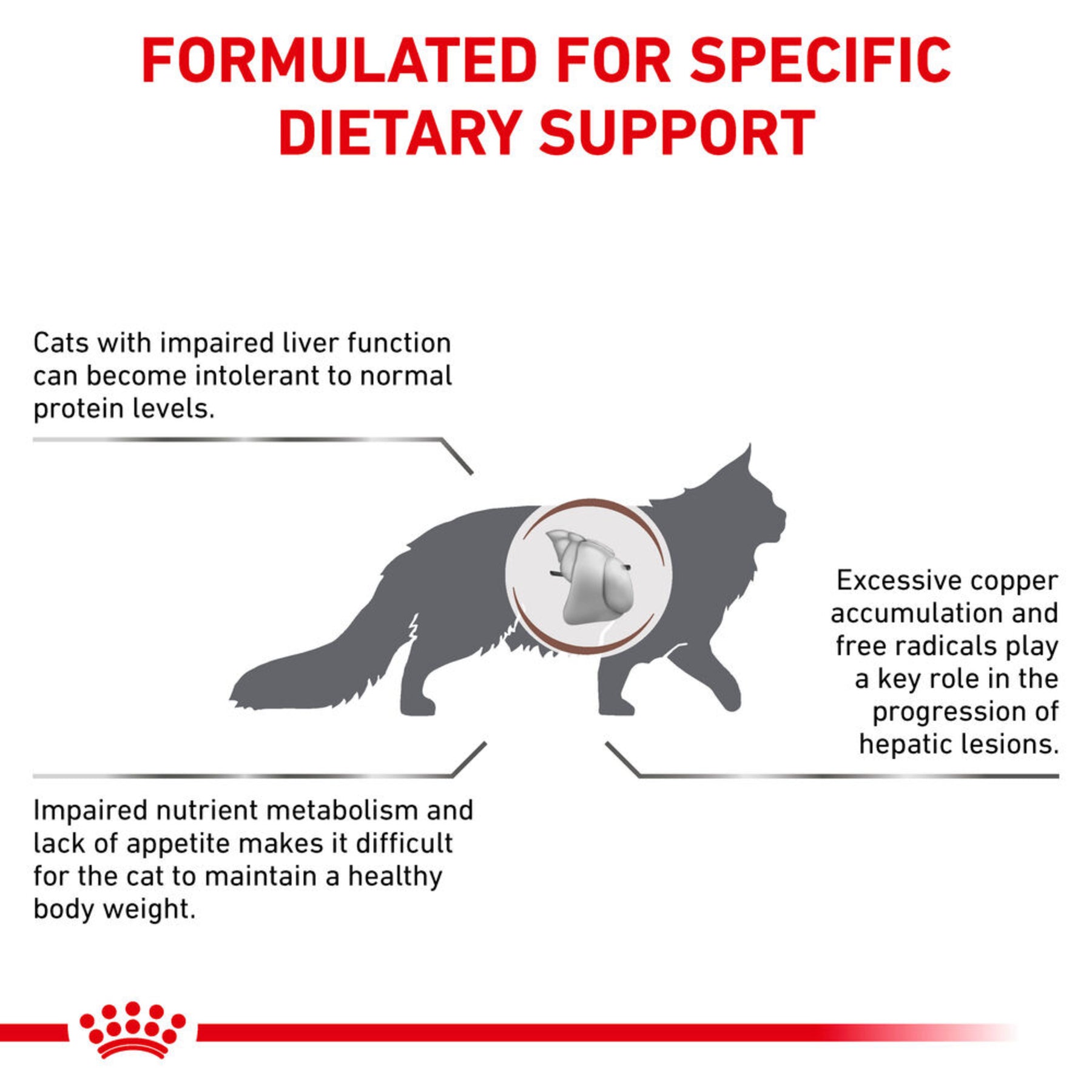 ROYAL CANIN Hepatic Adult Dry Cat Food