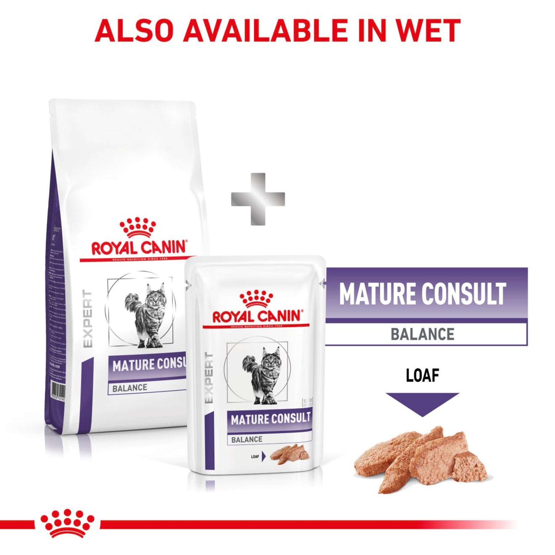 ROYAL CANIN Mature Consult Balance Dry Cat Food