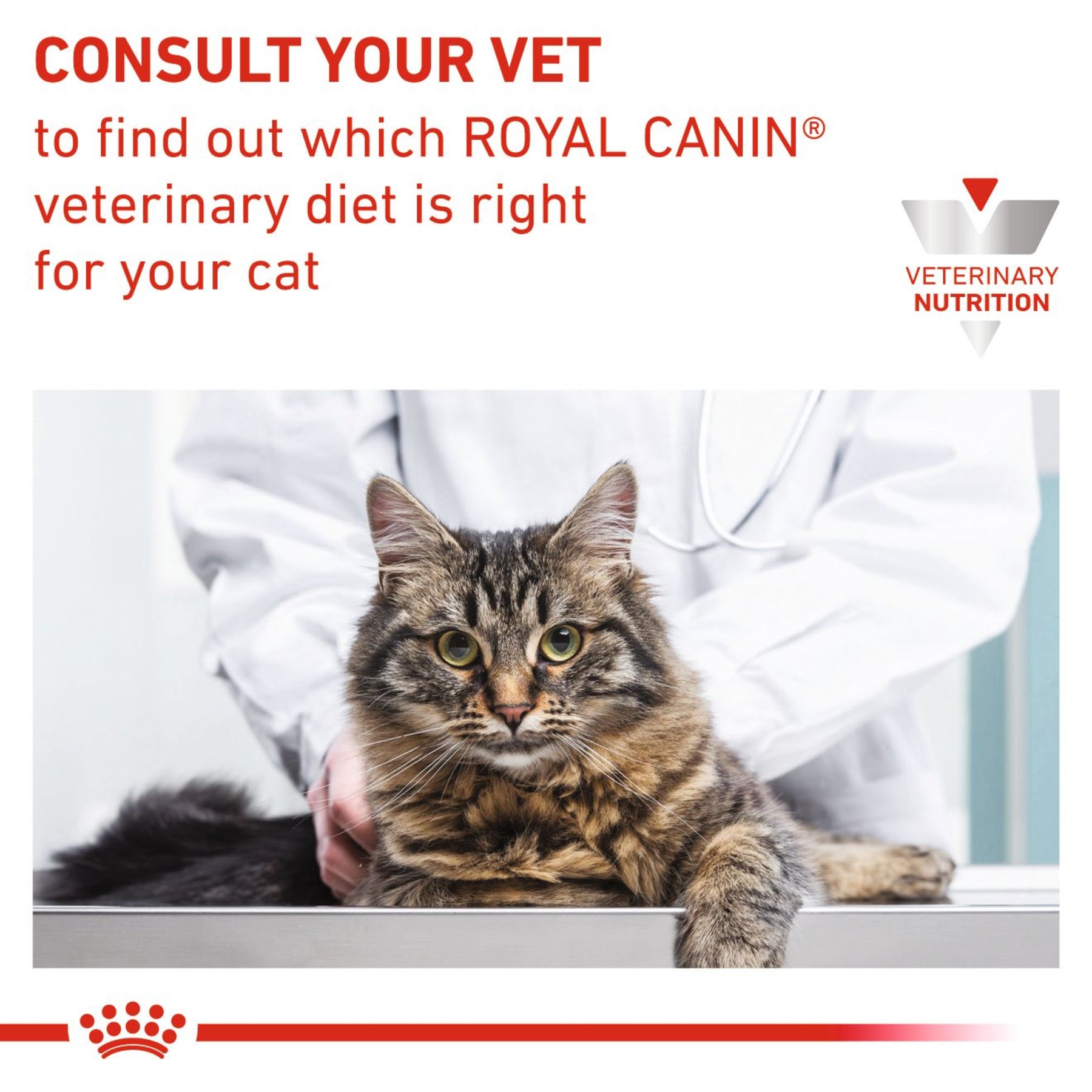 ROYAL CANIN Renal Select Adult Dry Cat Food