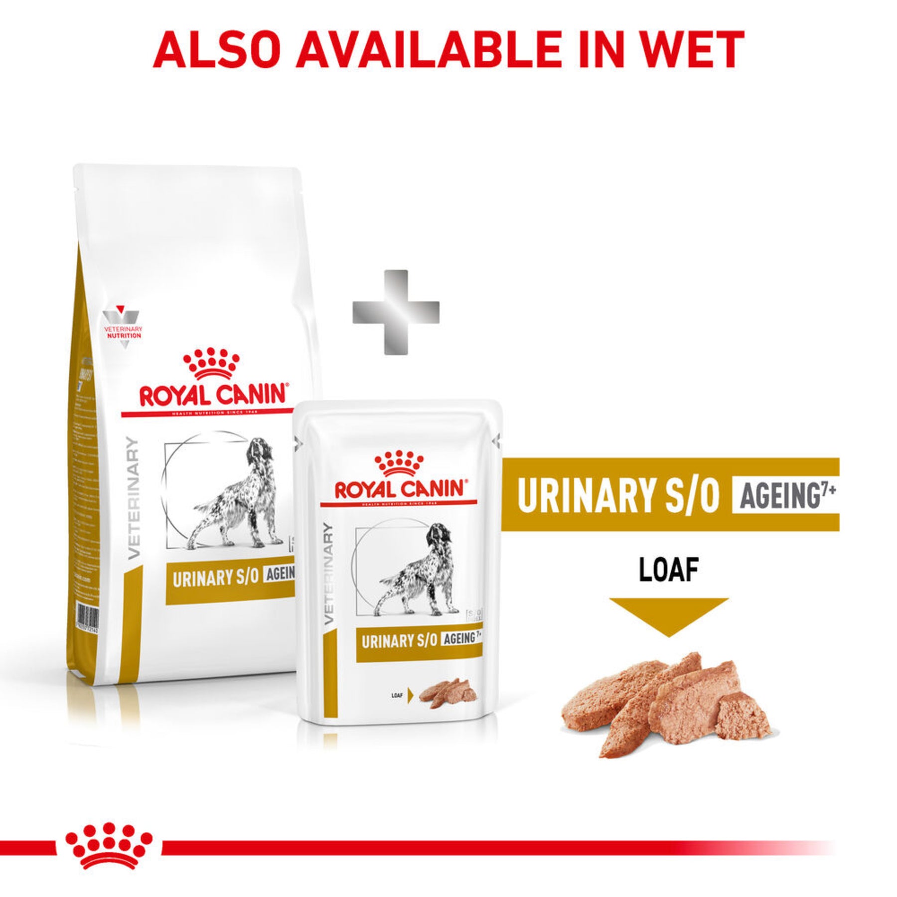 ROYAL CANIN Canine Urinary S/O Ageing 7+ Dry Dog Food