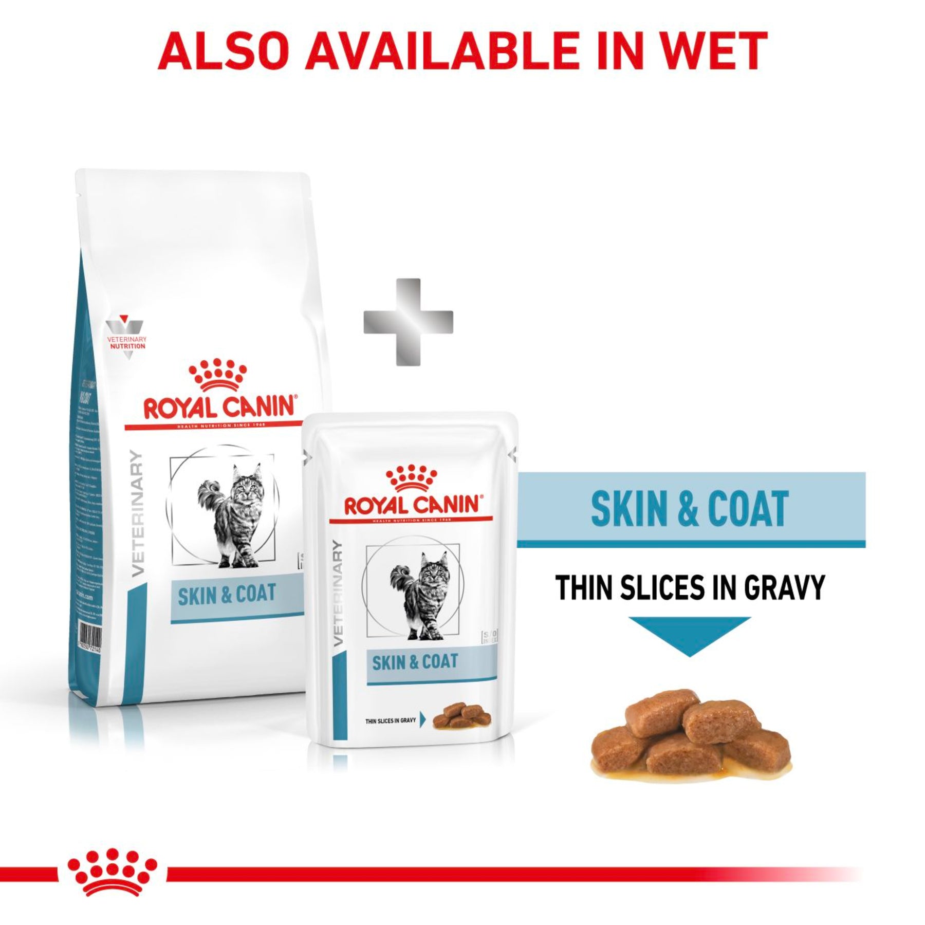 ROYAL CANIN Feline Skin & Coat Adult Dry Cat Food