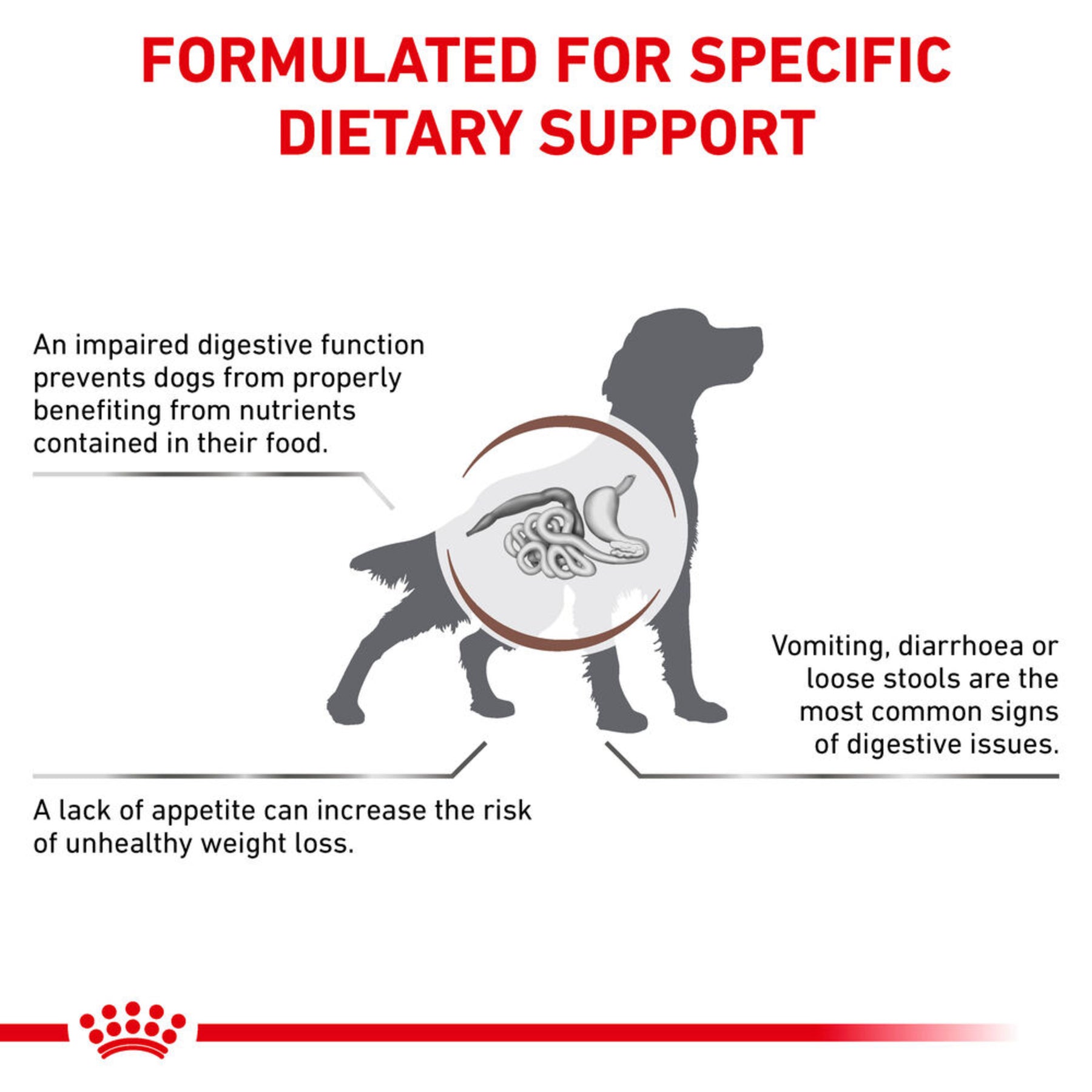 ROYAL CANIN Gastrointestinal Adult Dry Dog Food 15kg