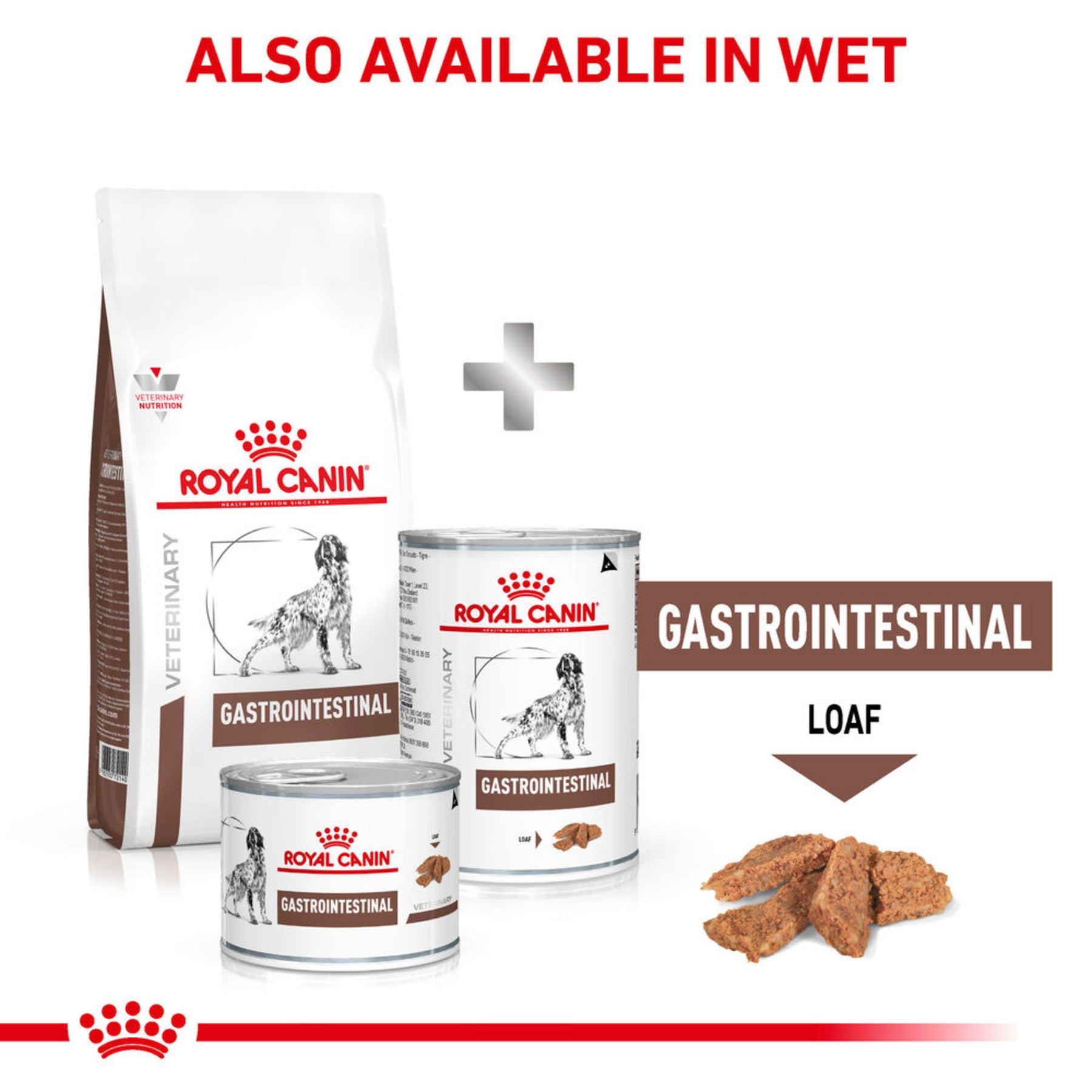 ROYAL CANIN Gastrointestinal Adult Dry Dog Food