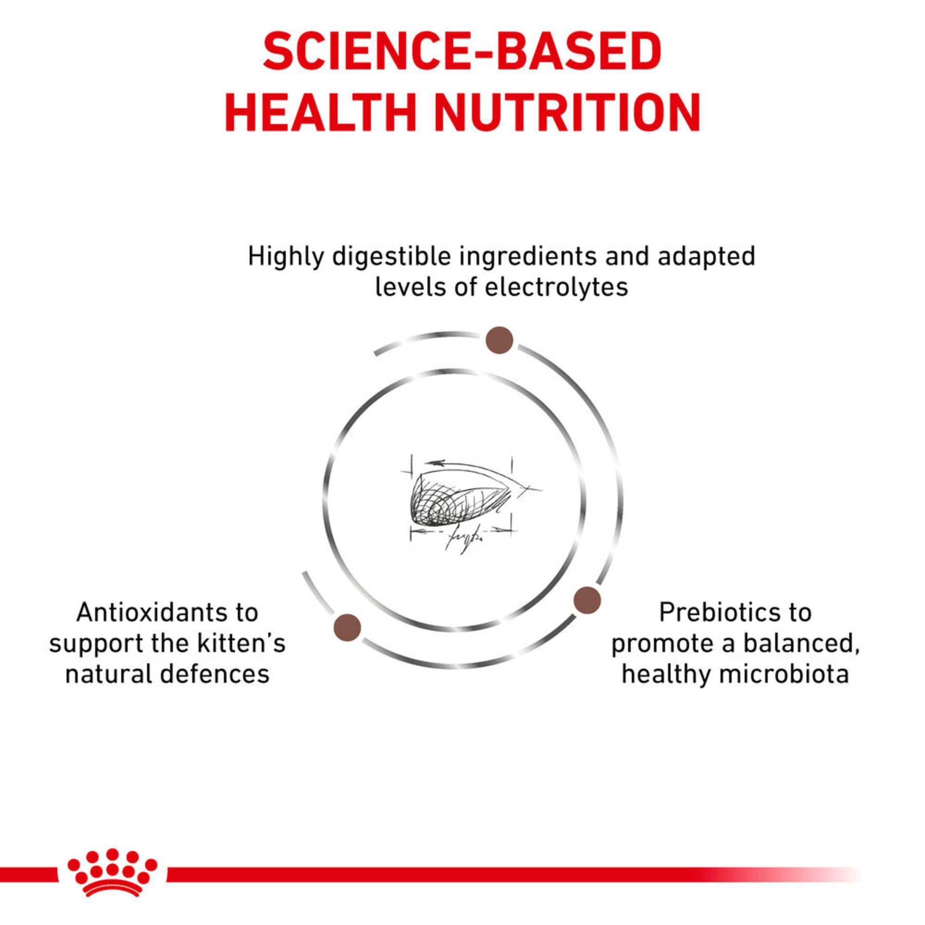 ROYAL CANIN® Gastrointestinal Kitten Dry Cat Food