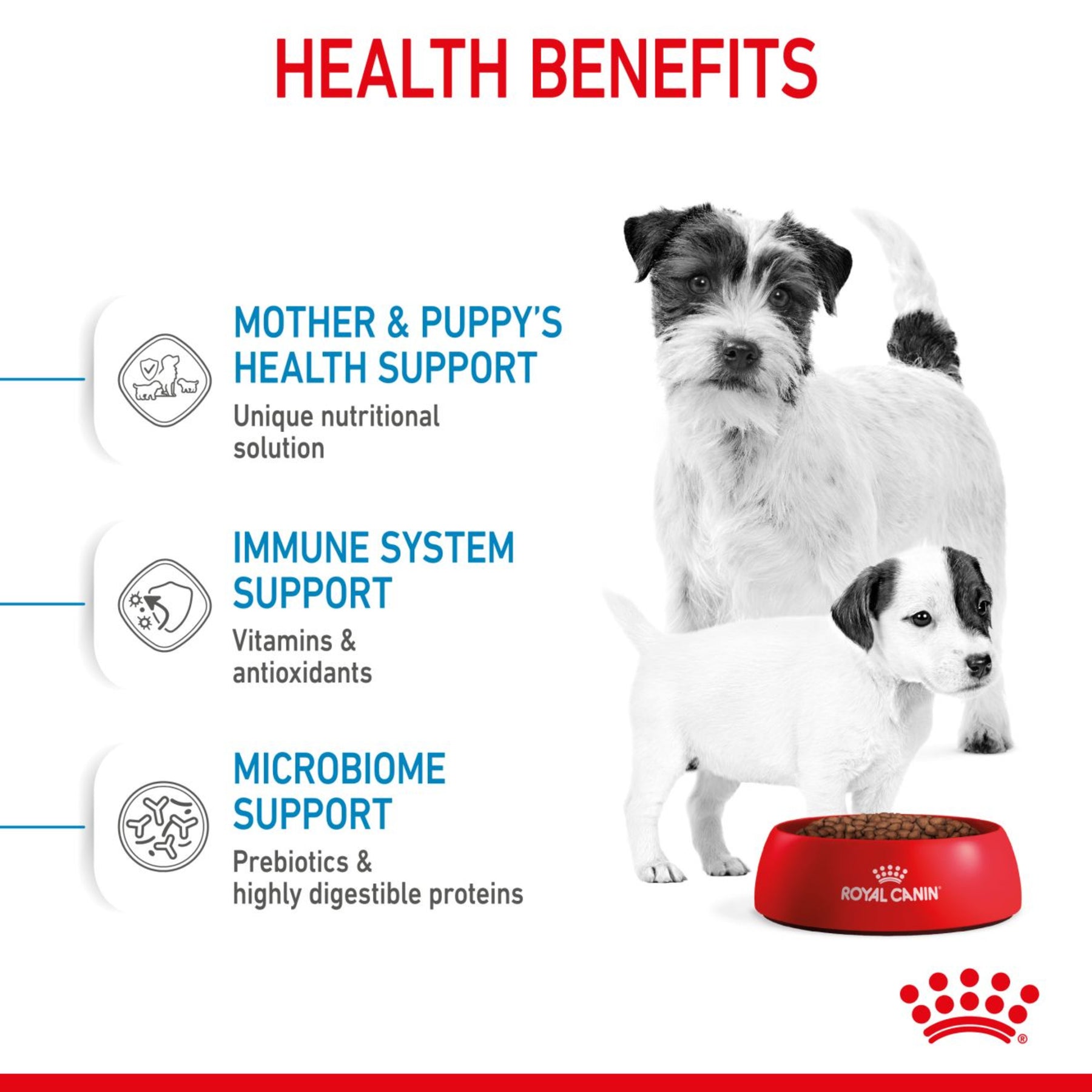 Royal Canin Starter Mother & Babydog Adult & Puppy Mini Dry Small Dog Food