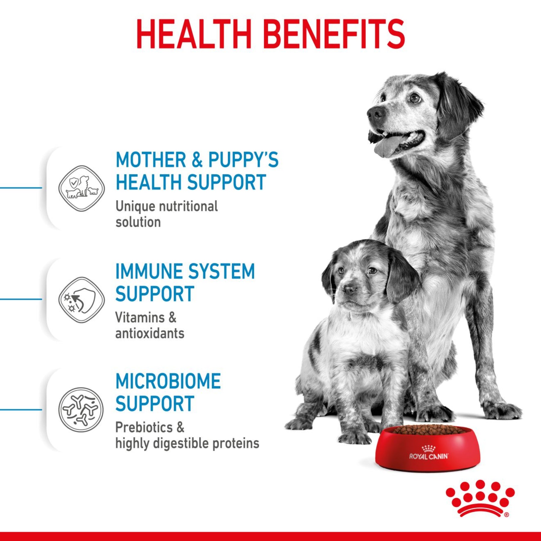 ROYAL CANIN®Starter Medium Mother & Babydog Dry Food