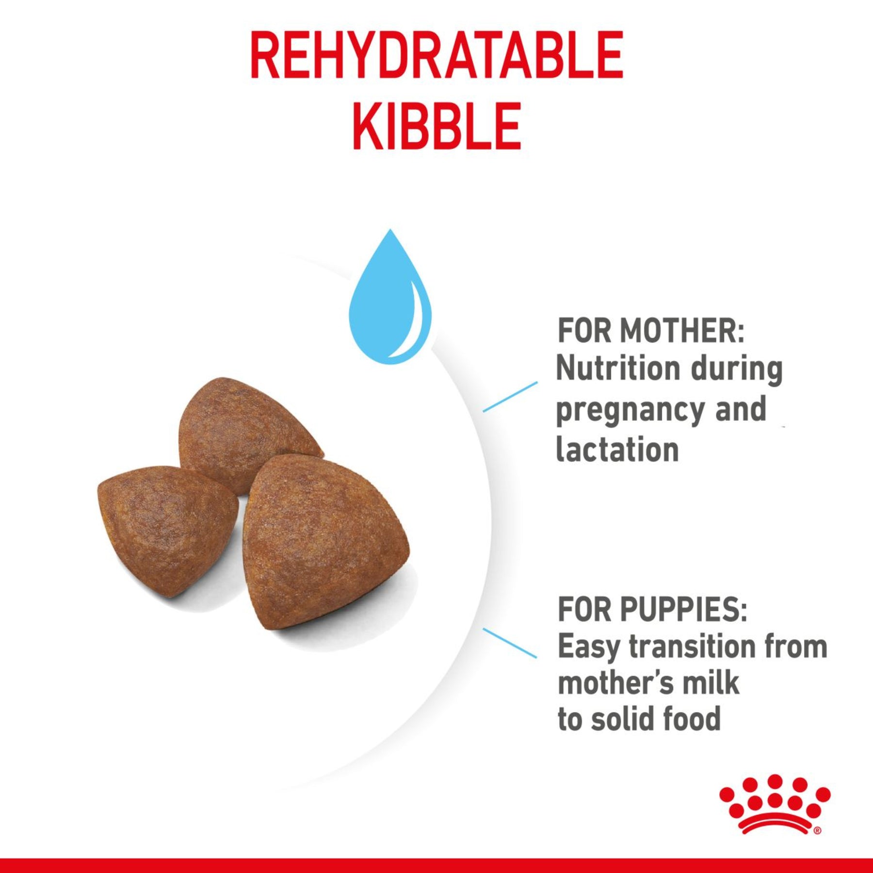 ROYAL CANIN®Starter Medium Mother & Babydog Dry Food