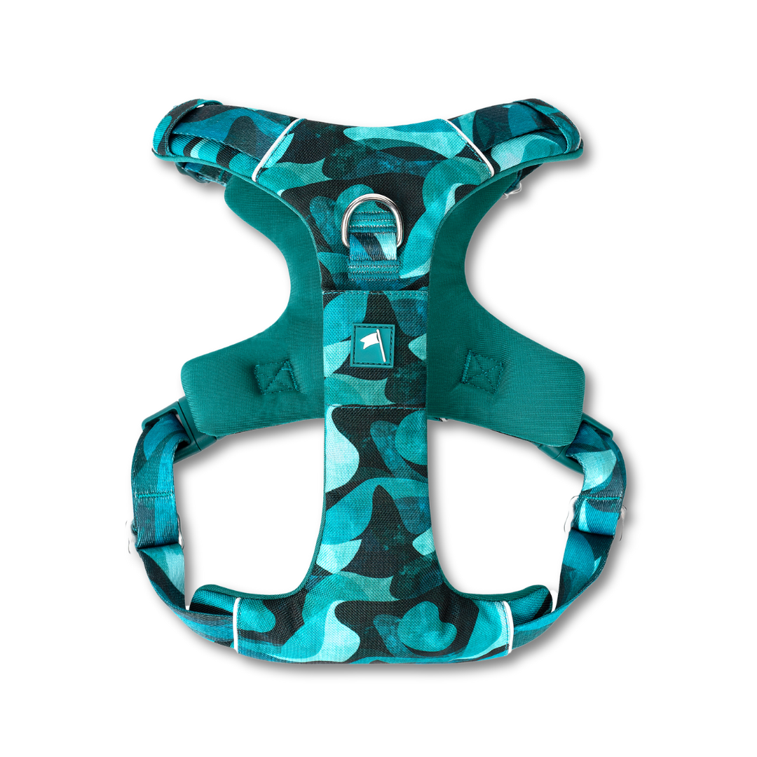 Twiggy Tags Lagoon Adventure 2.0 Harness (6 sizes)