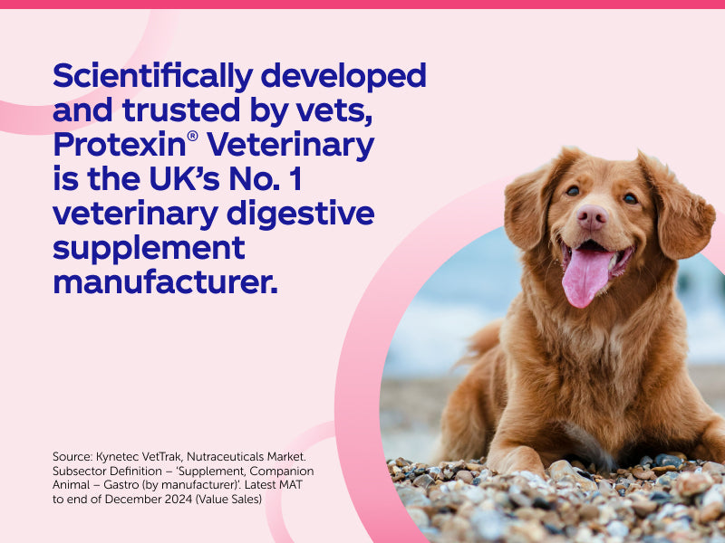Protexin Denamarin Advanced For Dogs Over 10kg (30 tablets)