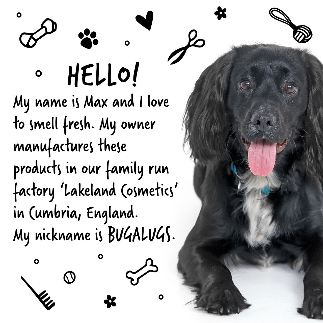 Bugalugs 4 in 1 Lavender & Chamomile Dog Shampoo