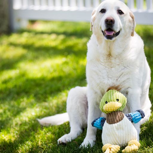 Hugglehounds Duck Small