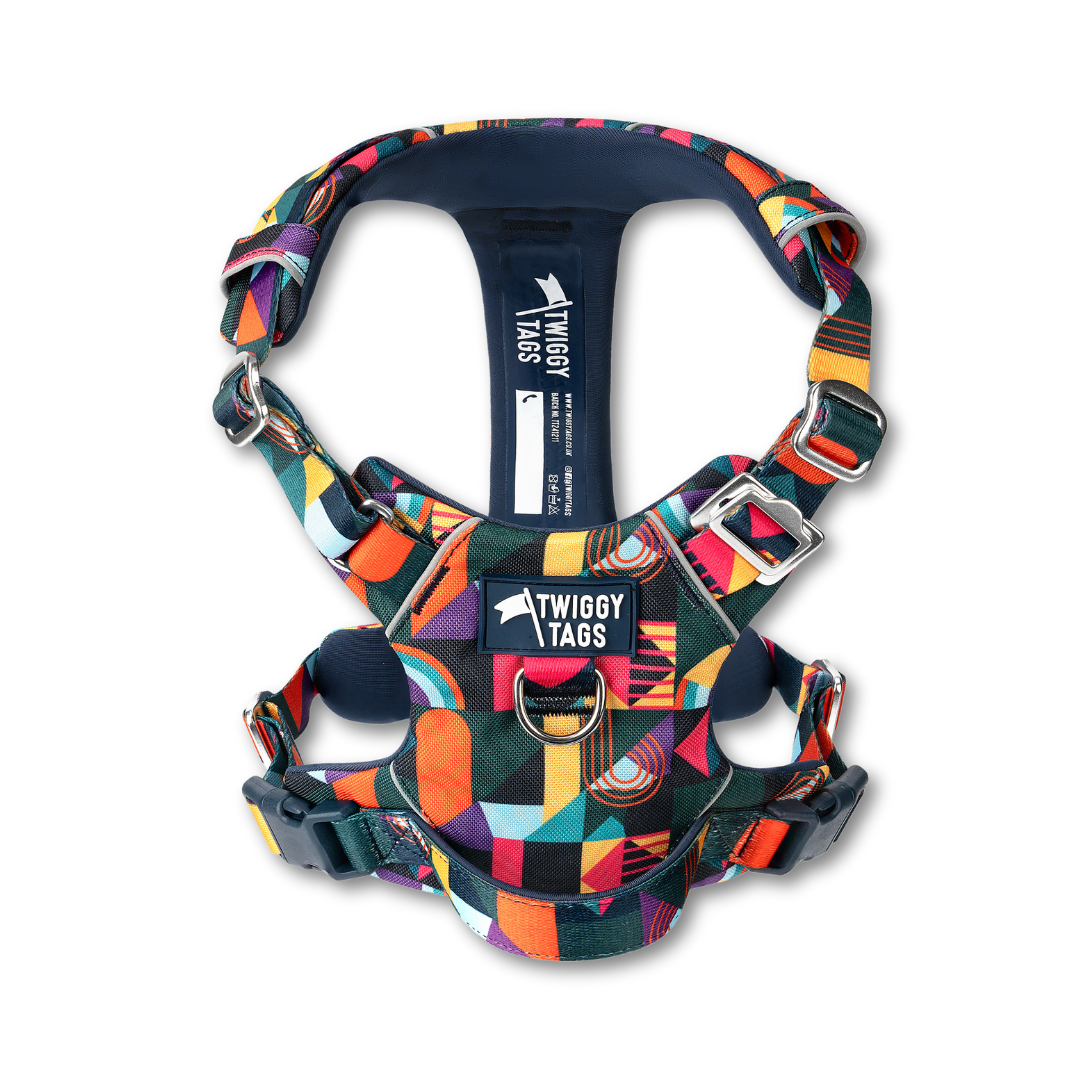 Twiggy Tags Aurora Adventure 2.0 Harness (6 sizes)