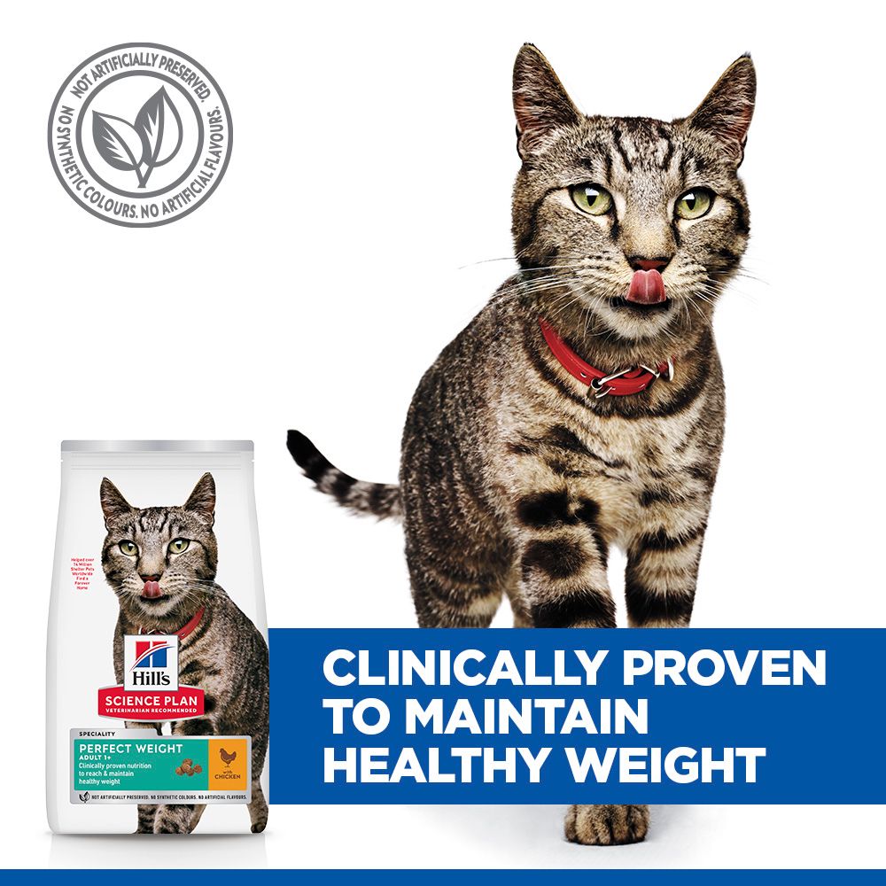 Hill's™ Science Plan Perfect Weight Adult Dry Cat Food Chicken