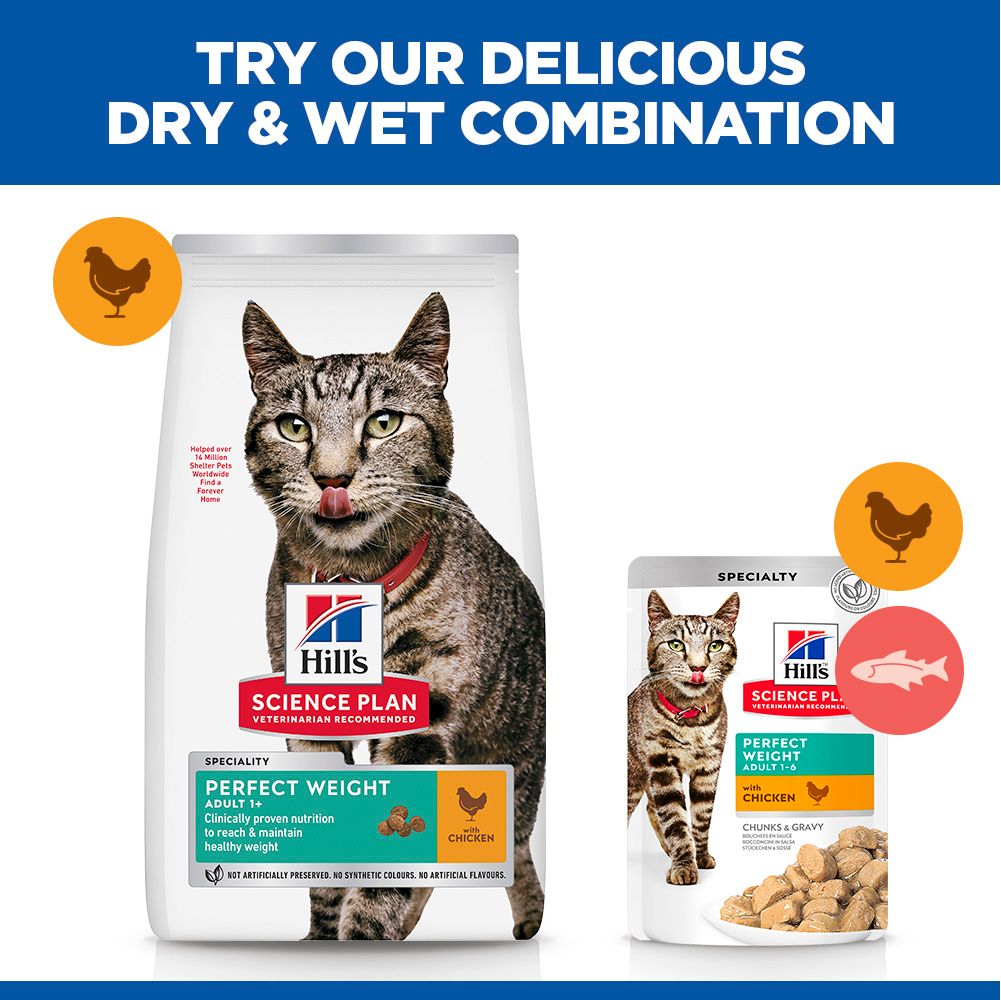 Hill's™ Science Plan Perfect Weight Adult Dry Cat Food Chicken