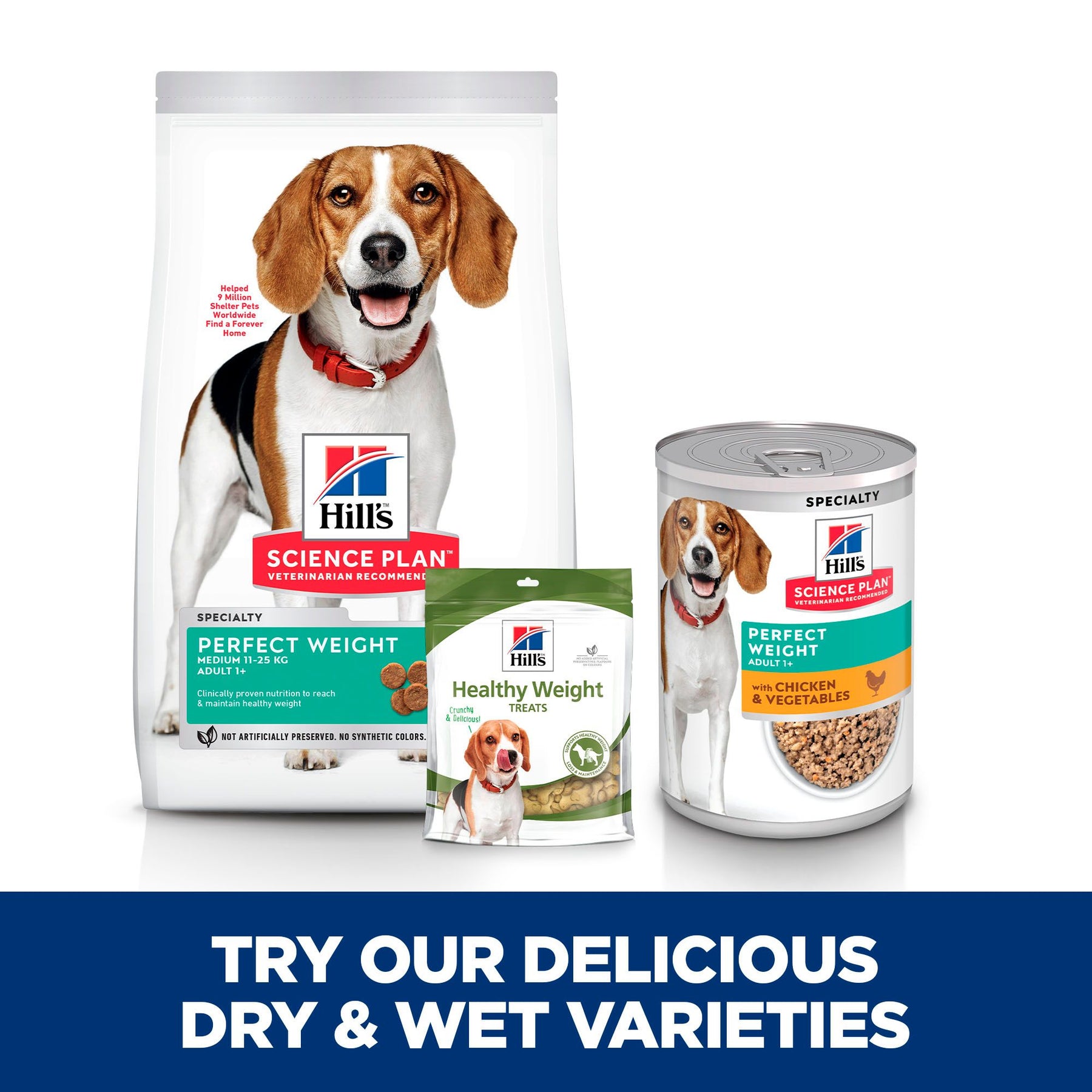 Hill's™ Science Plan Perfect Weight Adult Wet Dog Food with Chicken & Vegetables