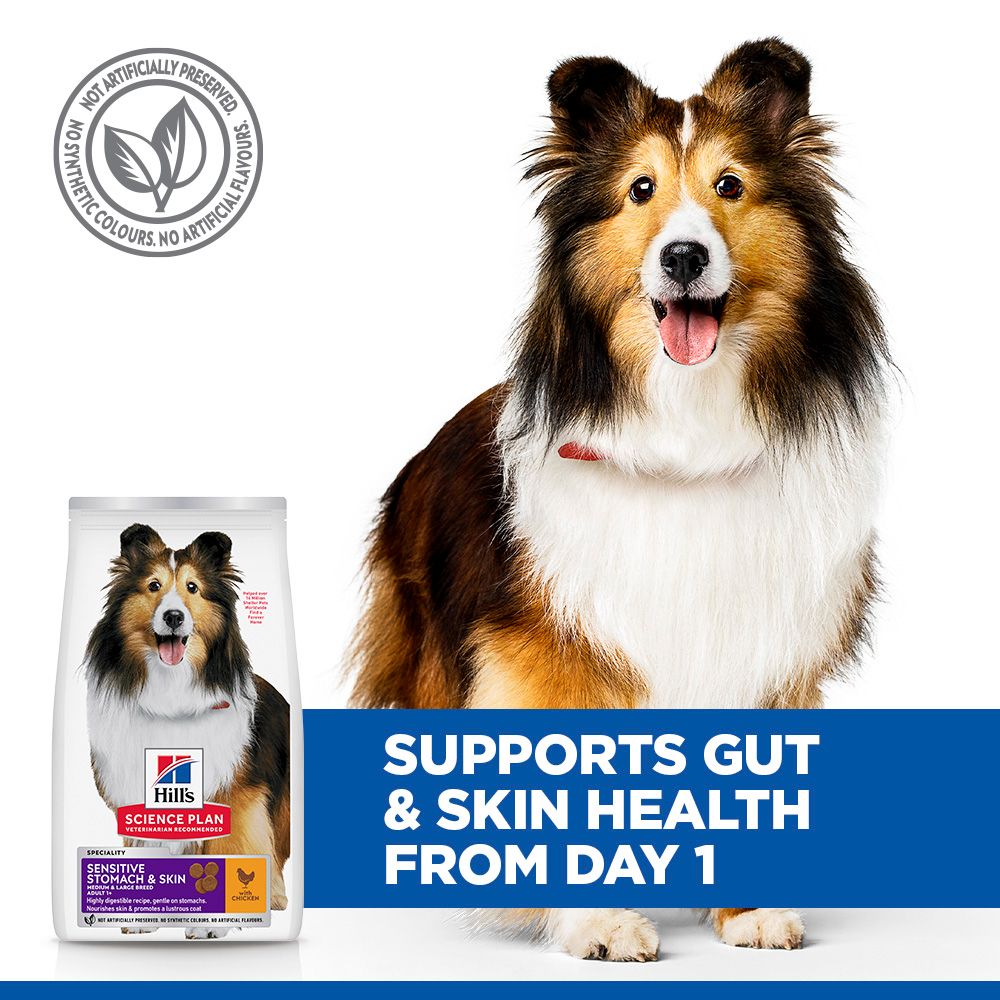 Hill's™ Science Plan Sensitive Stomach & Skin Adult Medium Breed Dry Dog Food Chicken