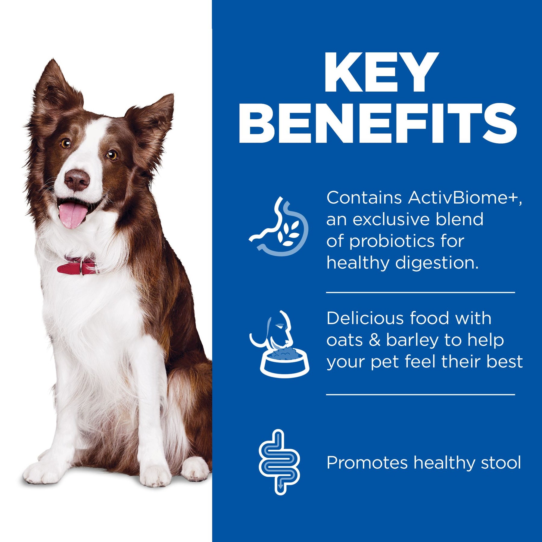 Hill's™ Science Plan Perfect Digestion Adult Wet Dog Food with Chicken