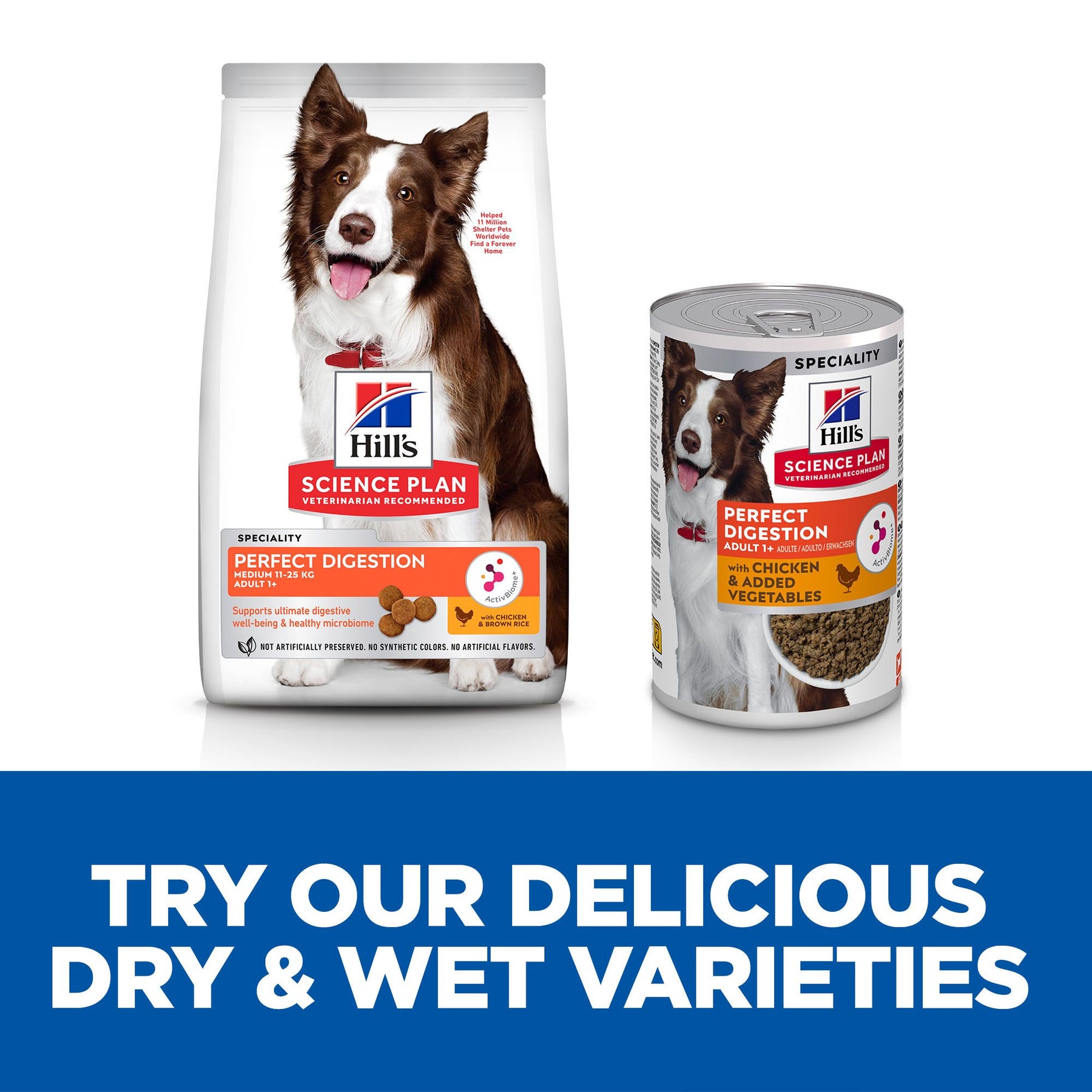 Hill's™ Science Plan Perfect Digestion Adult Wet Dog Food with Chicken