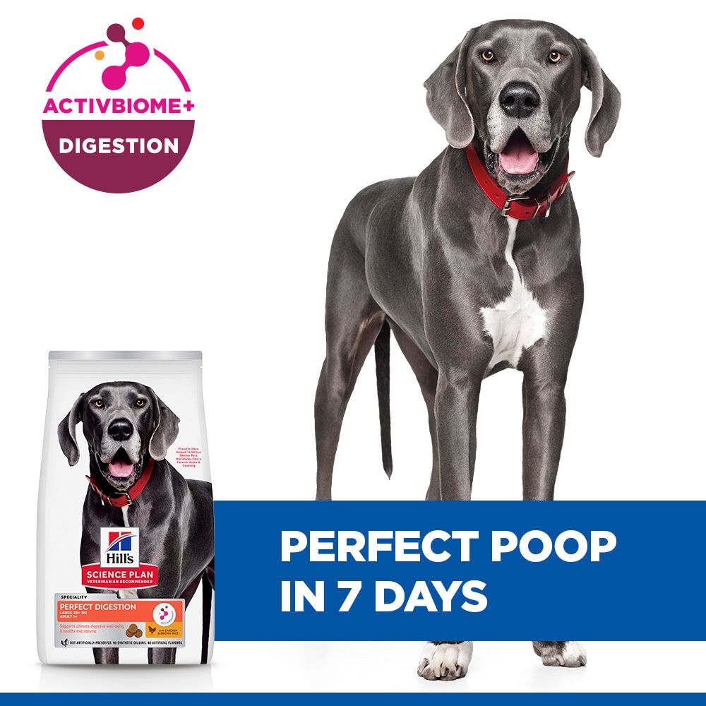 Hill's™ Science Plan Perfect Digestion Adult Large Dry Dog Food Chicken & Brown Rice 14kg