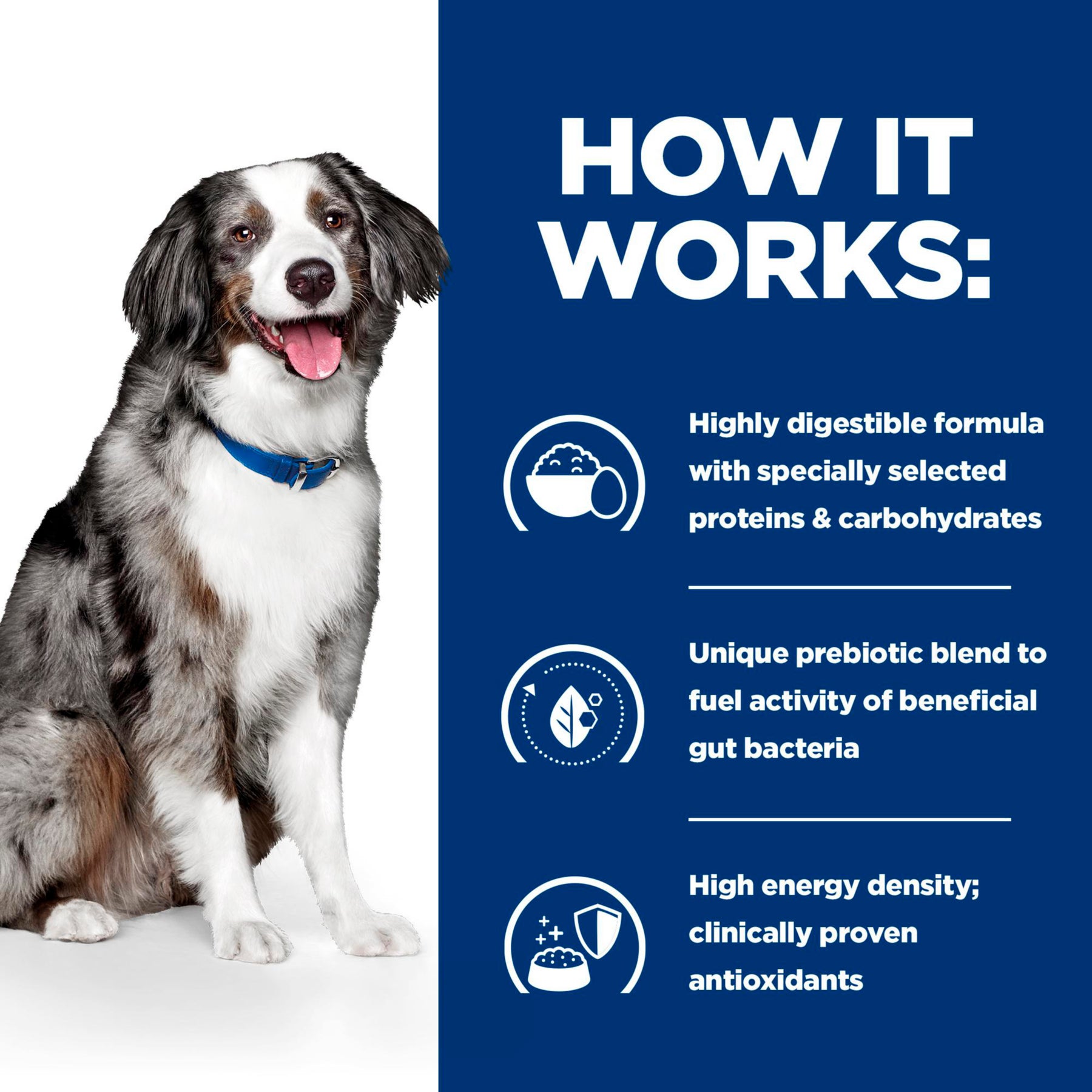 Hill's™ Prescription Diet™ i/d Sensitive Dog Food with Egg and Rice