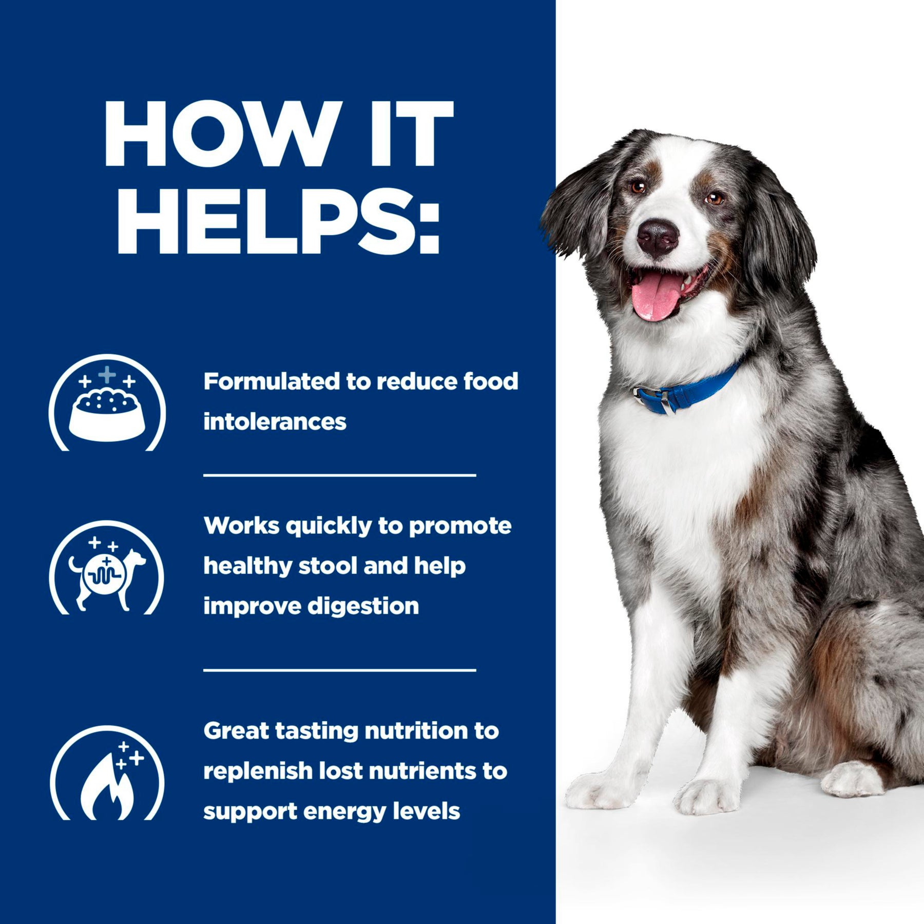 Hill's™ Prescription Diet™ i/d Sensitive Dog Food with Egg and Rice