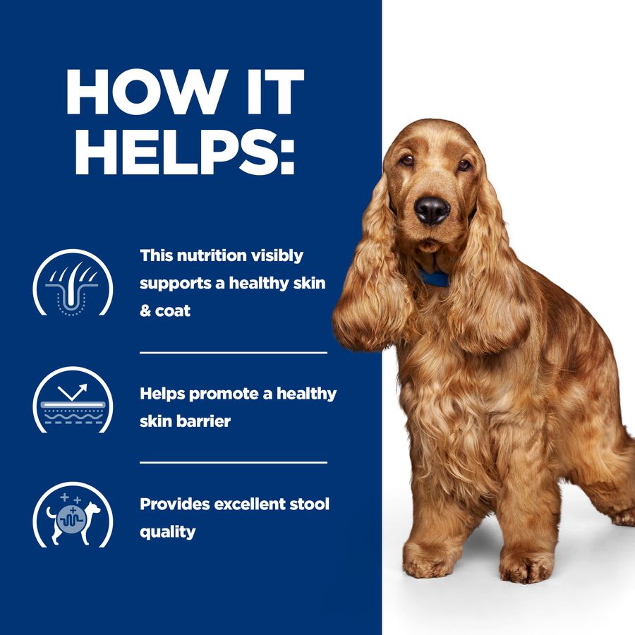 Hill's™ Prescription Diet™ z/d Dog Food Wet Food 370g