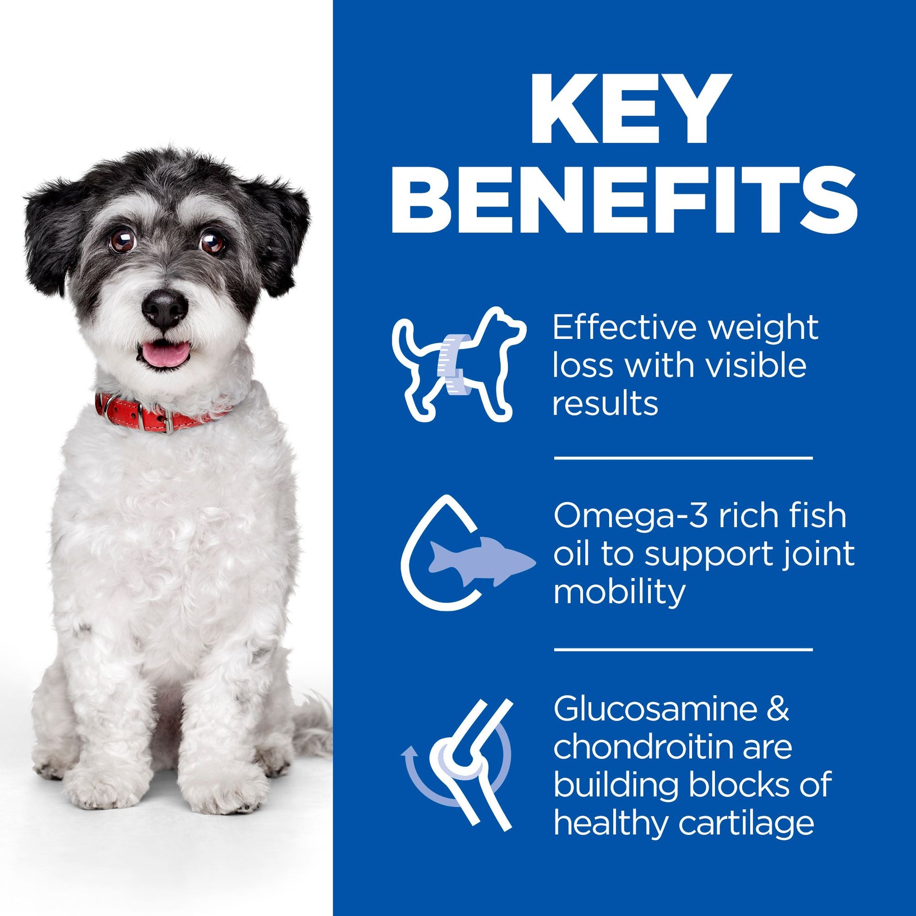 Hill's™ Science Plan Perfect Weight & Active Mobility Small & Mini Dry Dog Food Chicken