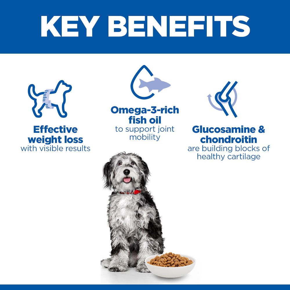 Hill's™ Science Plan Perfect Weight & Active Mobility Medium Dry Dog Food Chicken 12kg