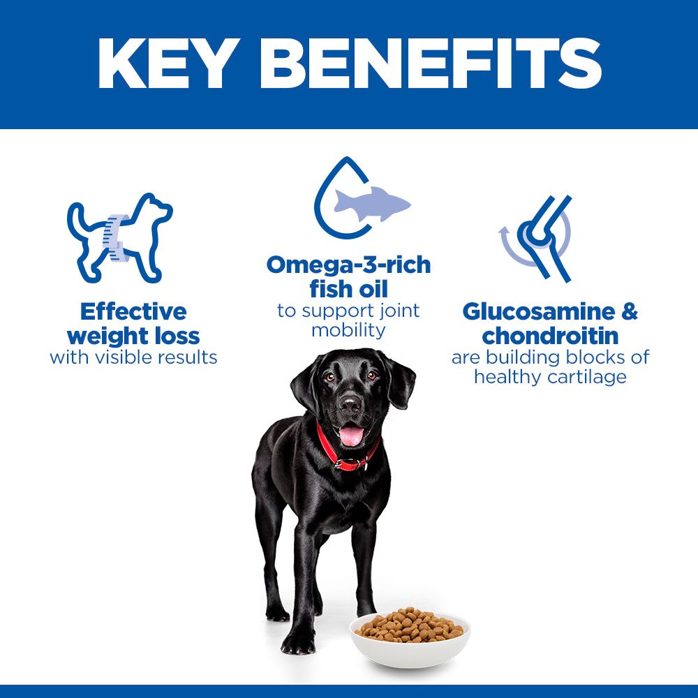 Hill's™ Science Plan Perfect Weight & Active Mobility Large Dry Dog Food Chicken 12kg