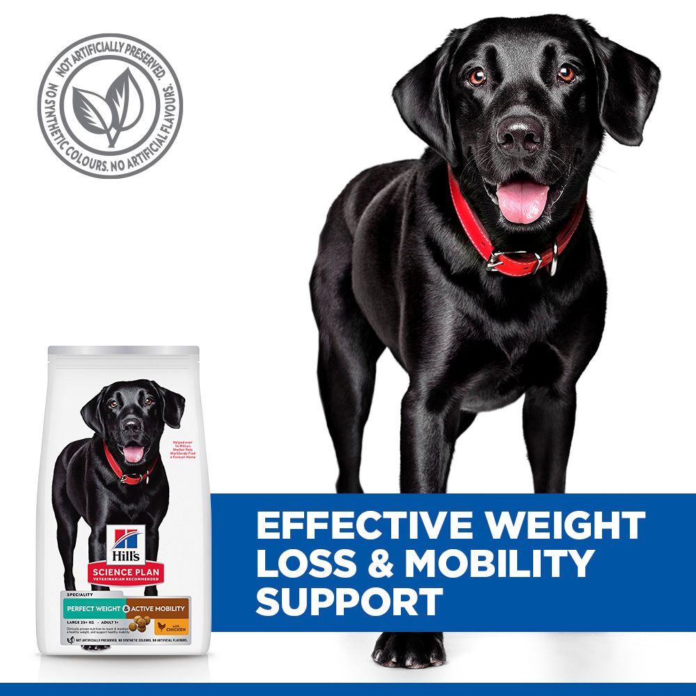 Hill's™ Science Plan Perfect Weight & Active Mobility Large Dry Dog Food Chicken 12kg