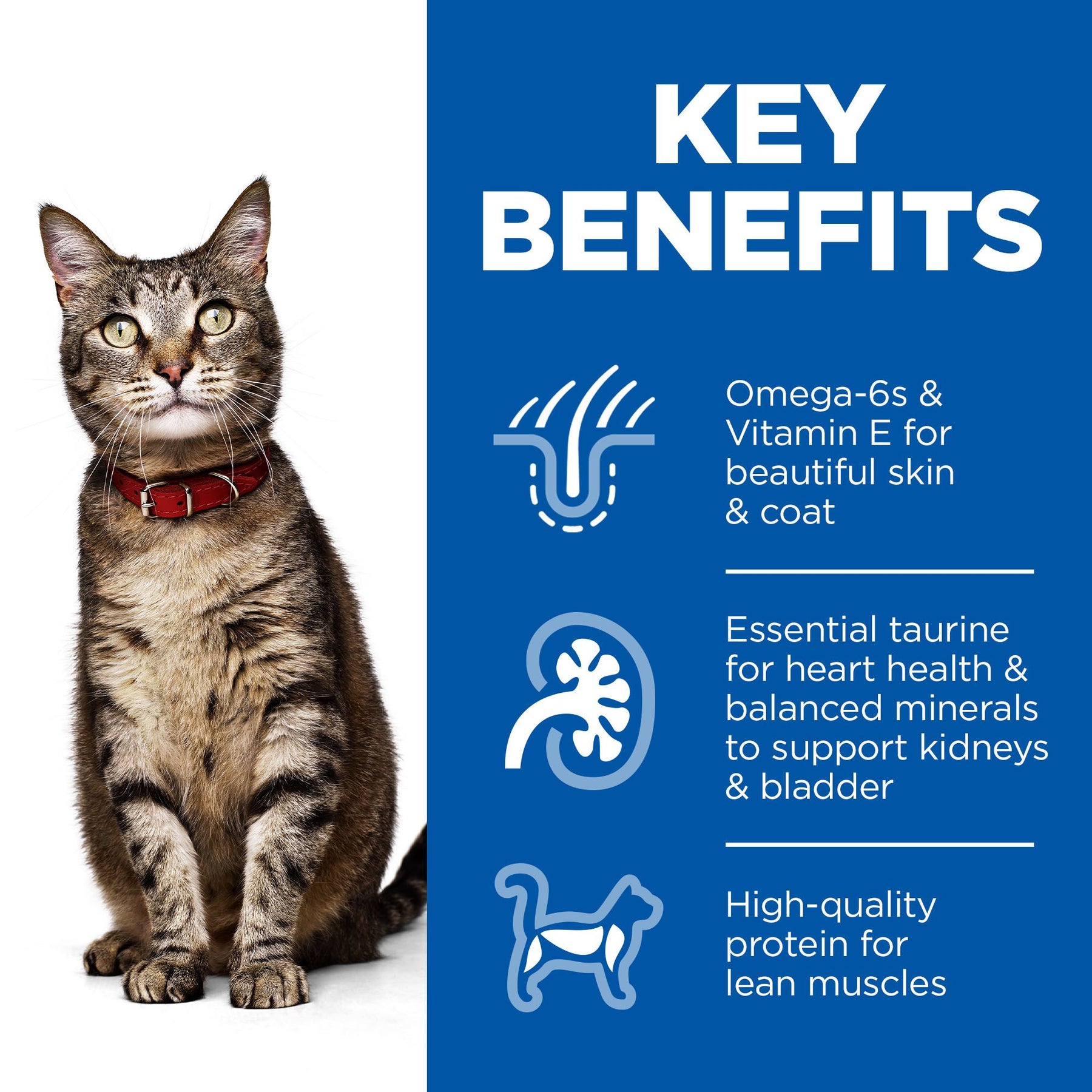 Hill's™ Science Plan Adult Wet Cat Beef