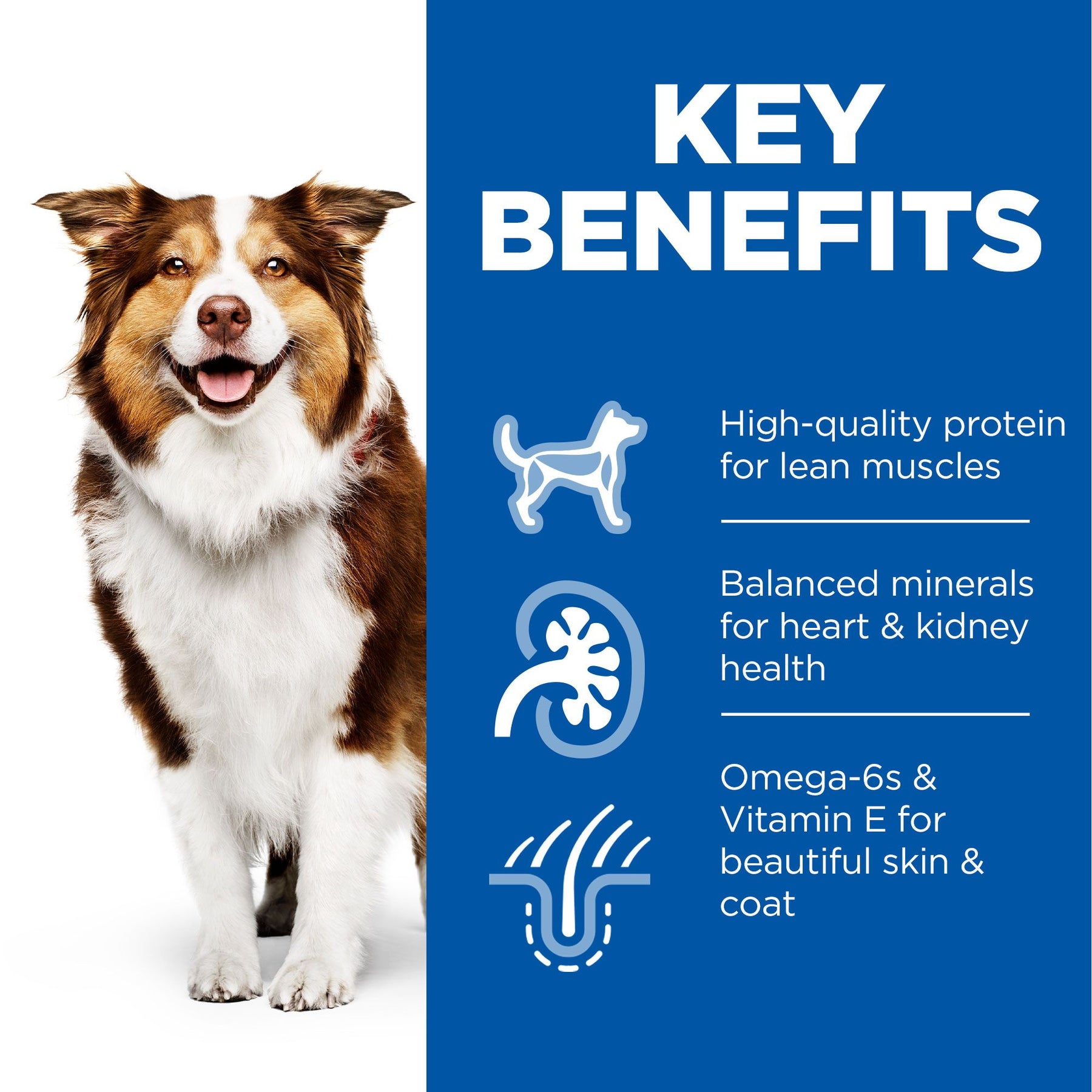 Hill's™ Science Plan Mature Adult 7+ Wet Dog Food with Chicken