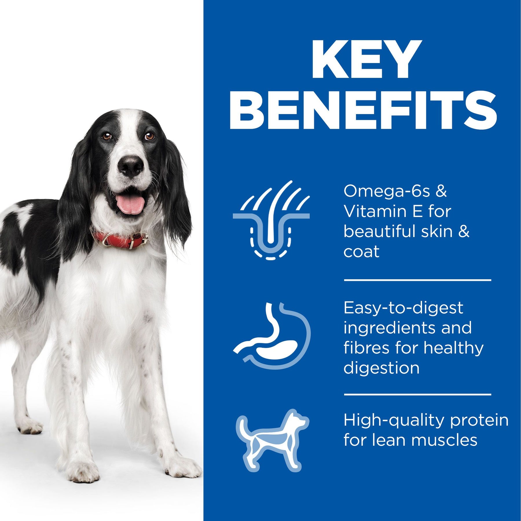 Hill's™ Science Plan Adult Wet Dog Food with Turkey