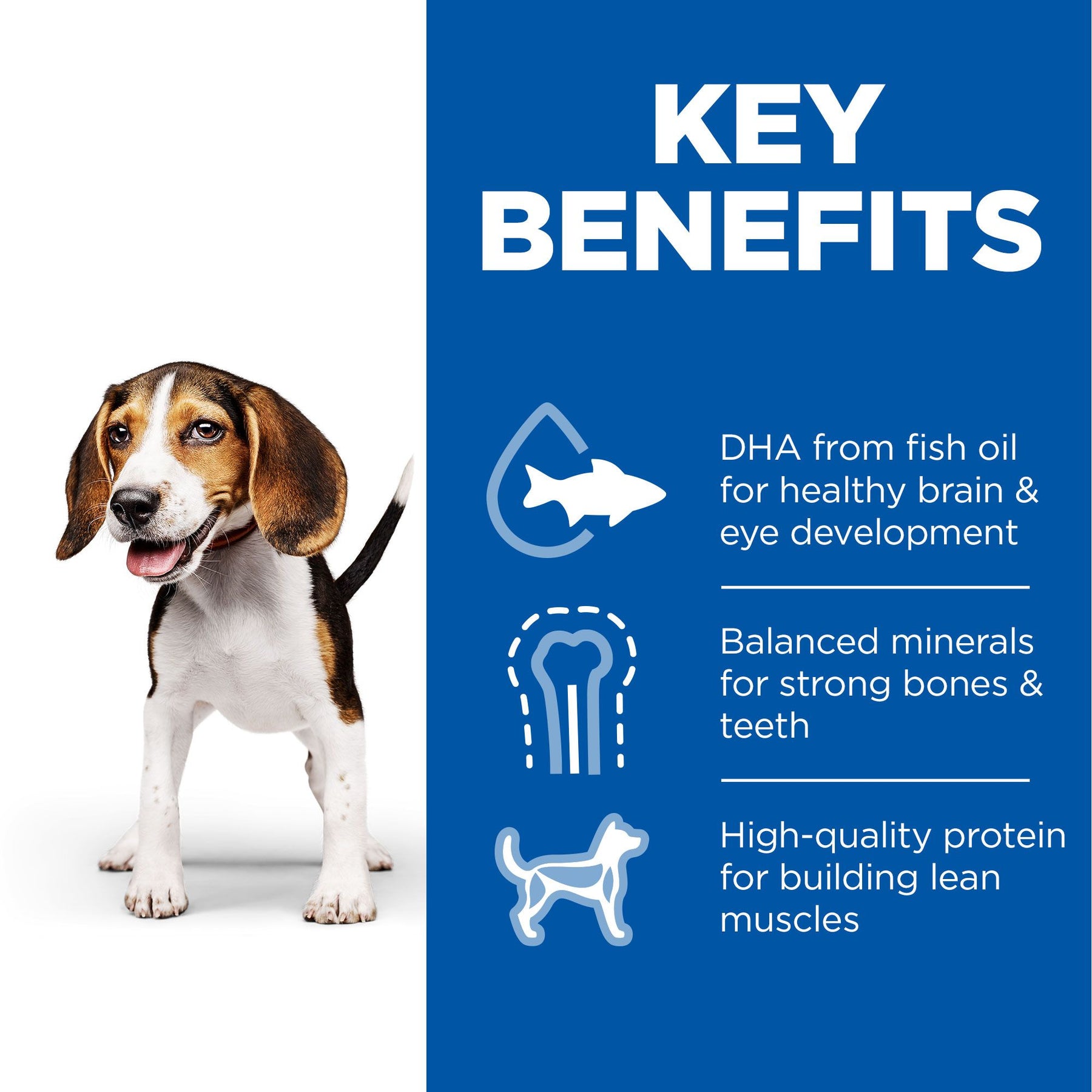 Hill's™ Science Plan Puppy Wet Food with Chicken