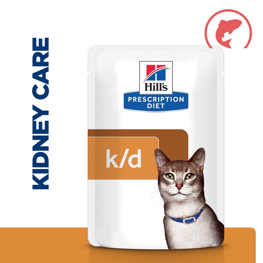 Hill's™ Prescription Diet™ k/d Kidney Care Wet Cat Food with Salmon