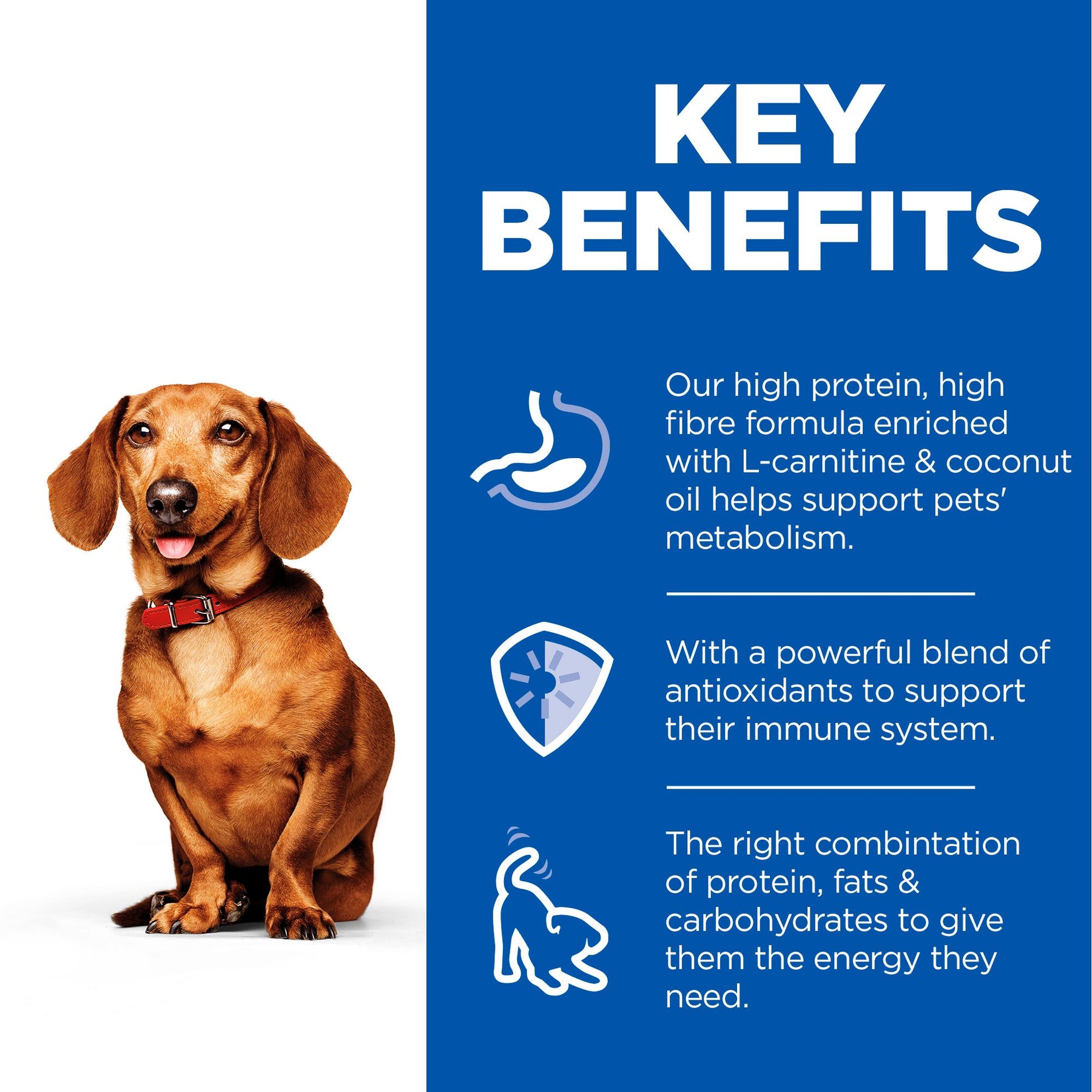 Hill's™ Science Plan Perfect Weight Adult Small & Mini Dog Mousse with Turkey