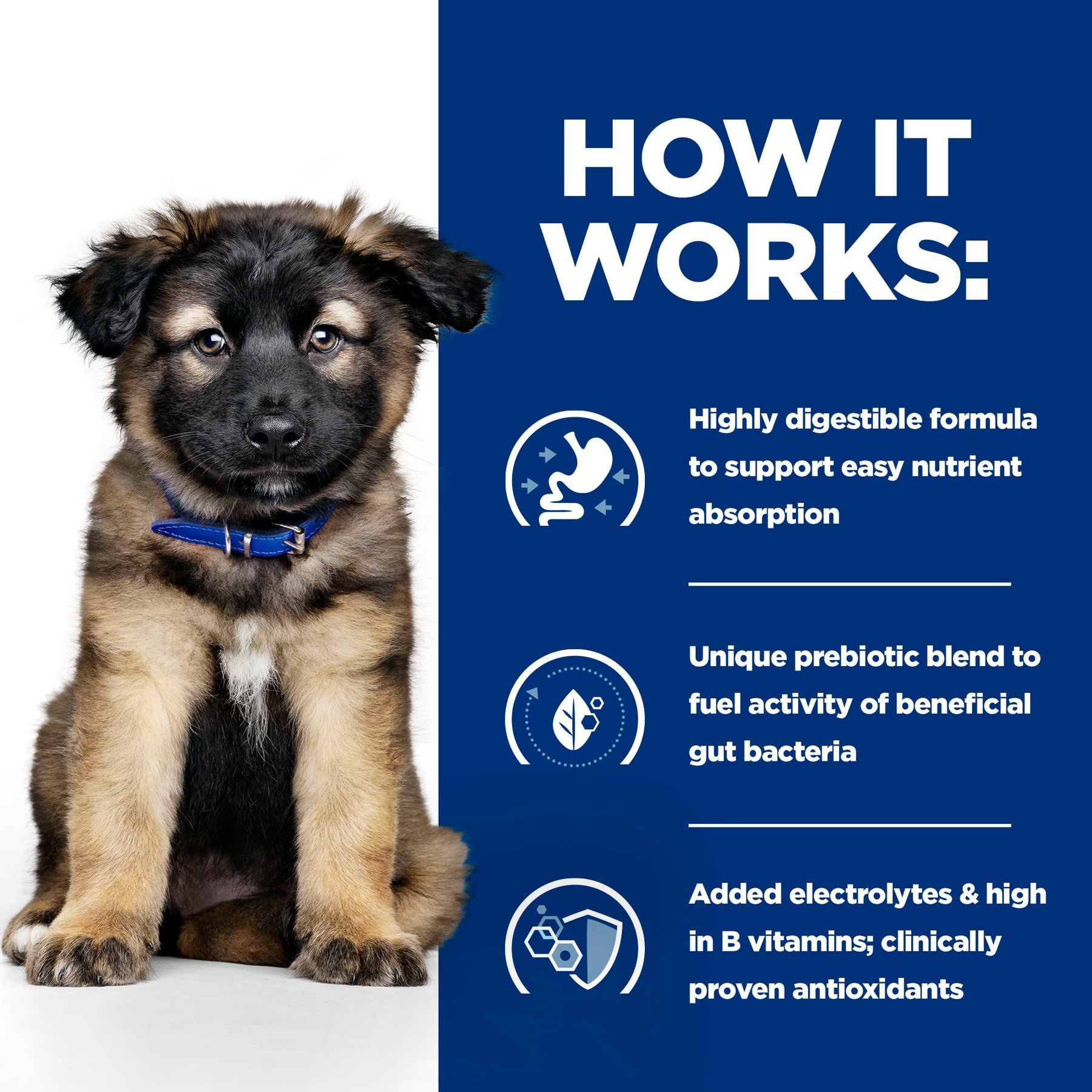 Hill's™ Prescription Diet™ i/d Digestive Care Dry Puppy Food with Chicken