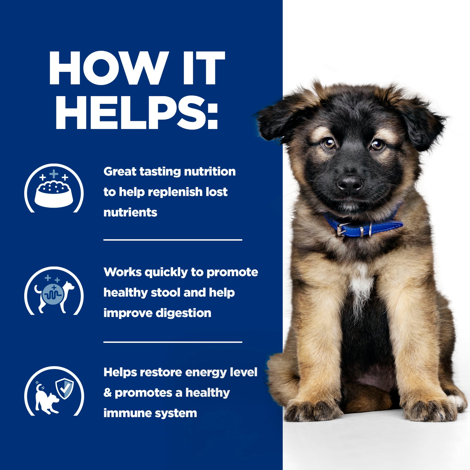 Hill's™ Prescription Diet™ i/d Digestive Care Dry Puppy Food with Chicken