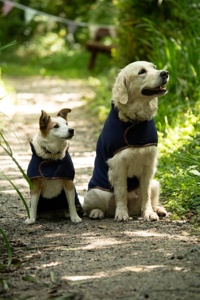 Petface Navy Fleece Dog Coat (4 sizes)