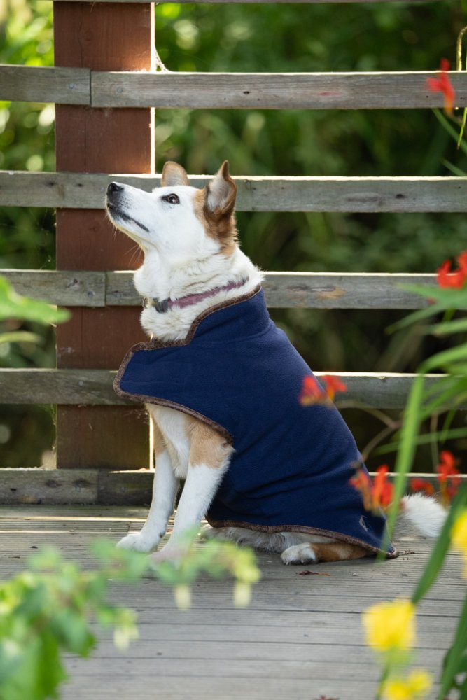 Petface Navy Fleece Dog Coat (4 sizes)