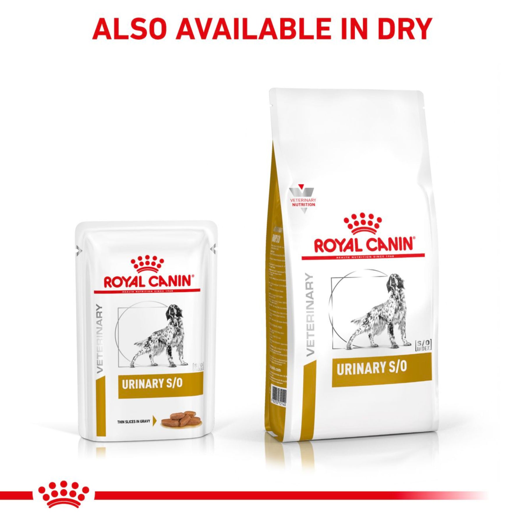 ROYAL CANIN® Canine Urinary S/O Thin Slices in Gravy Adult Wet Dog Food 12s