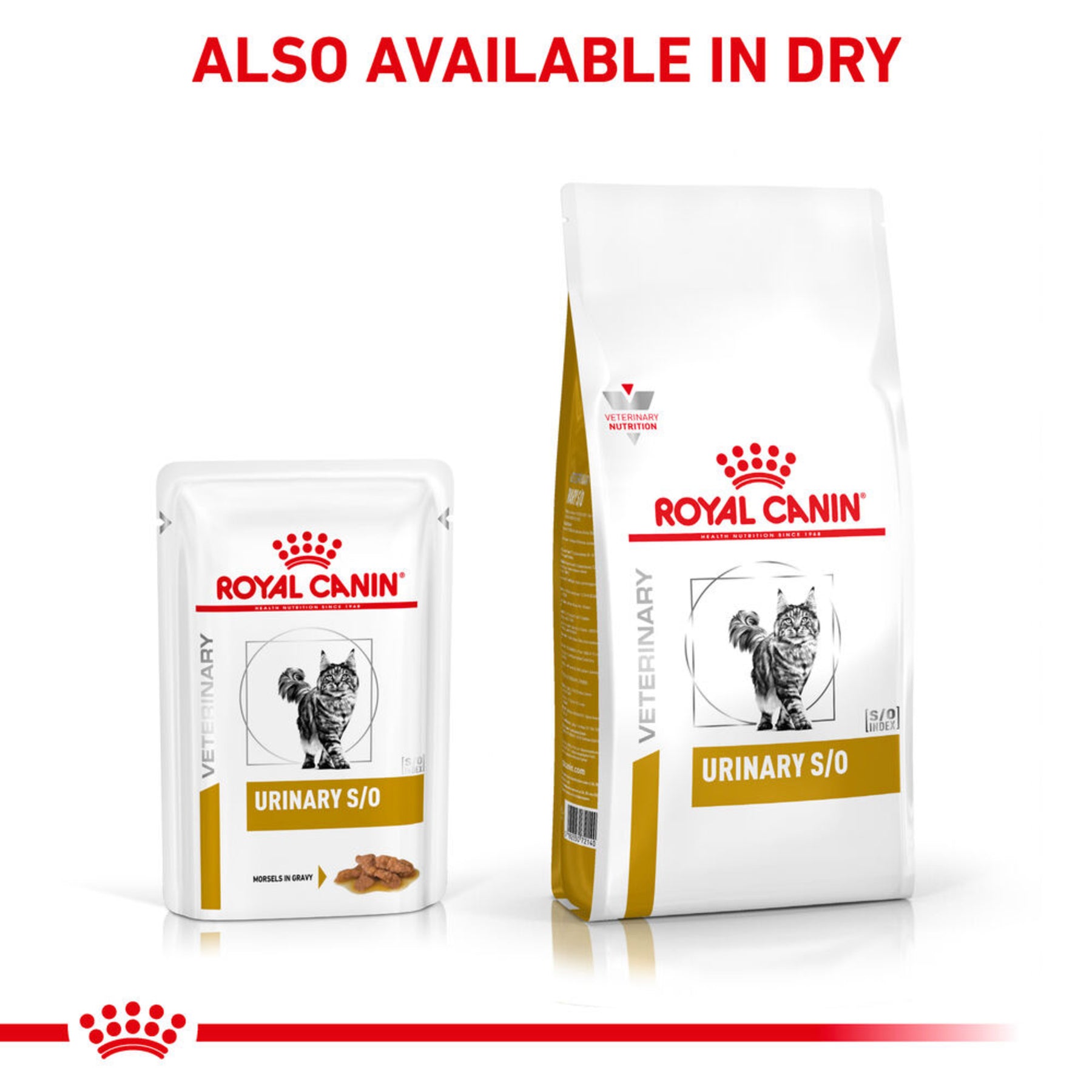 ROYAL CANIN® Feline Urinary S/O Morsels in Gravy Adult Wet Cat Food