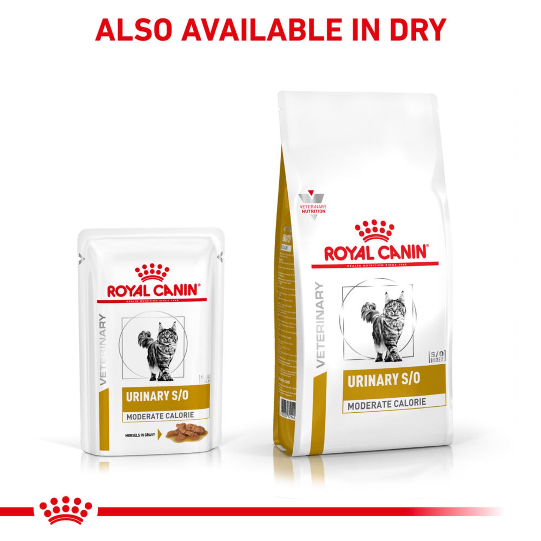 ROYAL CANIN® Feline Urinary S/O Moderate Calorie Morsels in Gravy Adult Wet Cat Food 48s