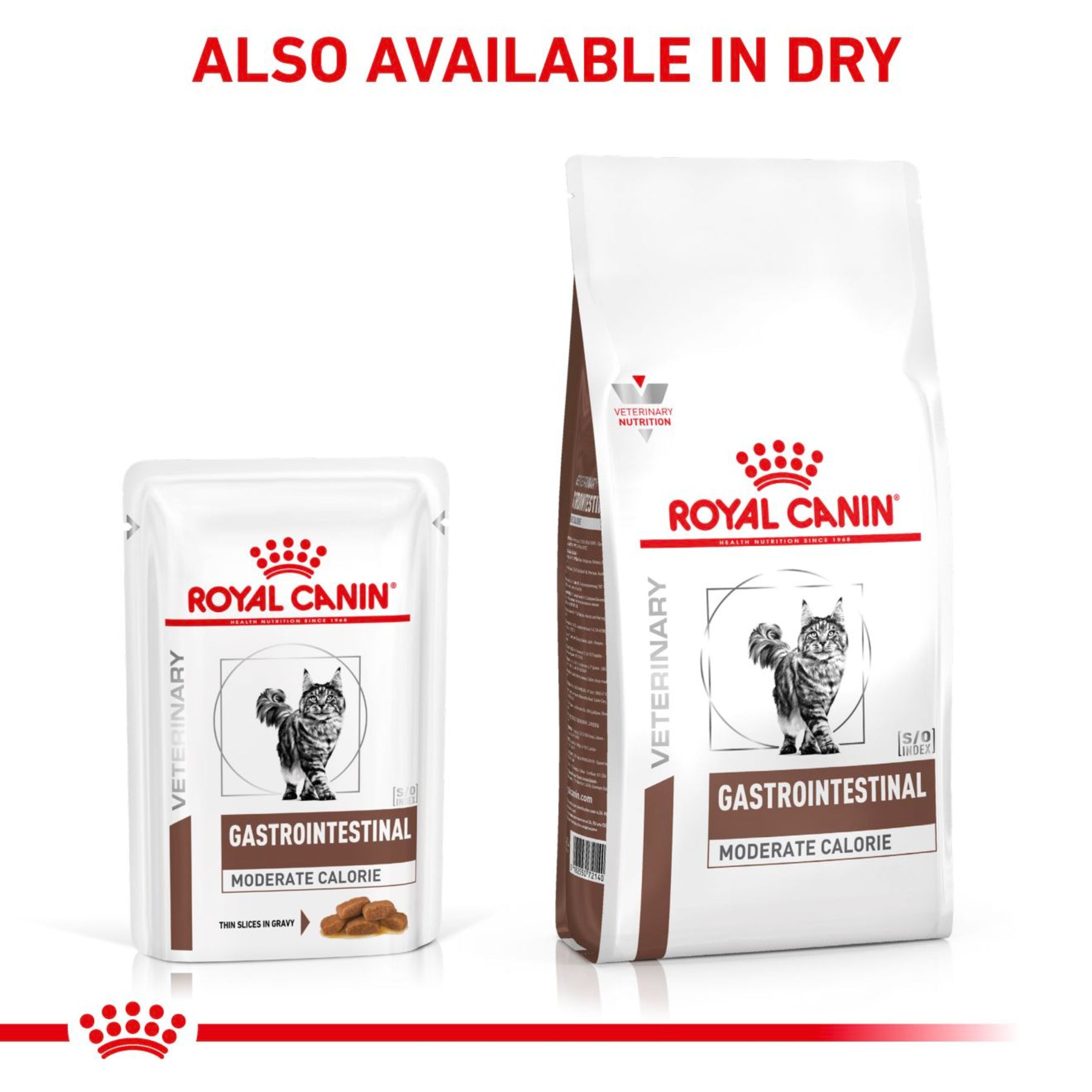 ROYAL CANIN® Gastrointestinal Moderate Calorie Adult Wet Cat Food
