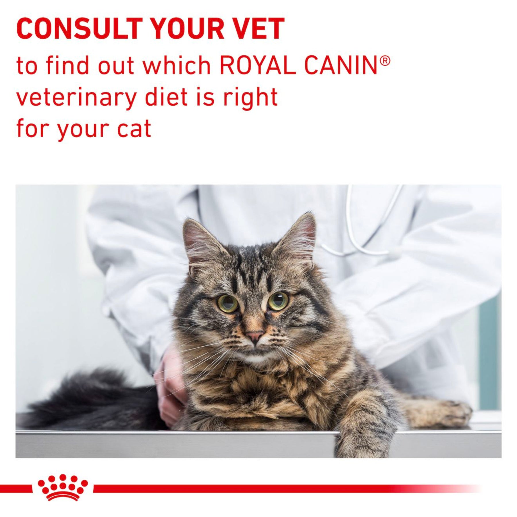 ROYAL CANIN® Mature Consult Cat Food in Gravy