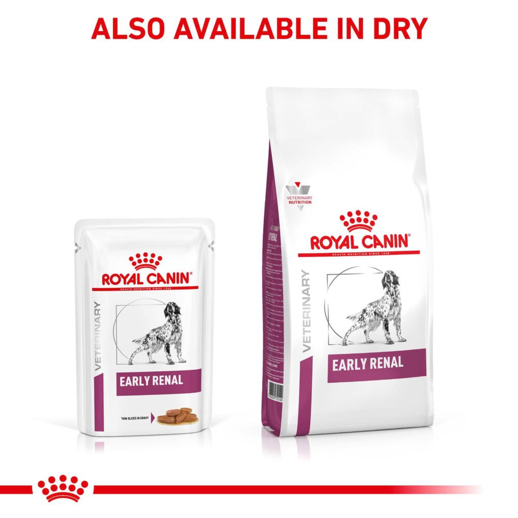 ROYAL CANIN® Veterinary Health Nutrition Early Renal Wet Dog Food