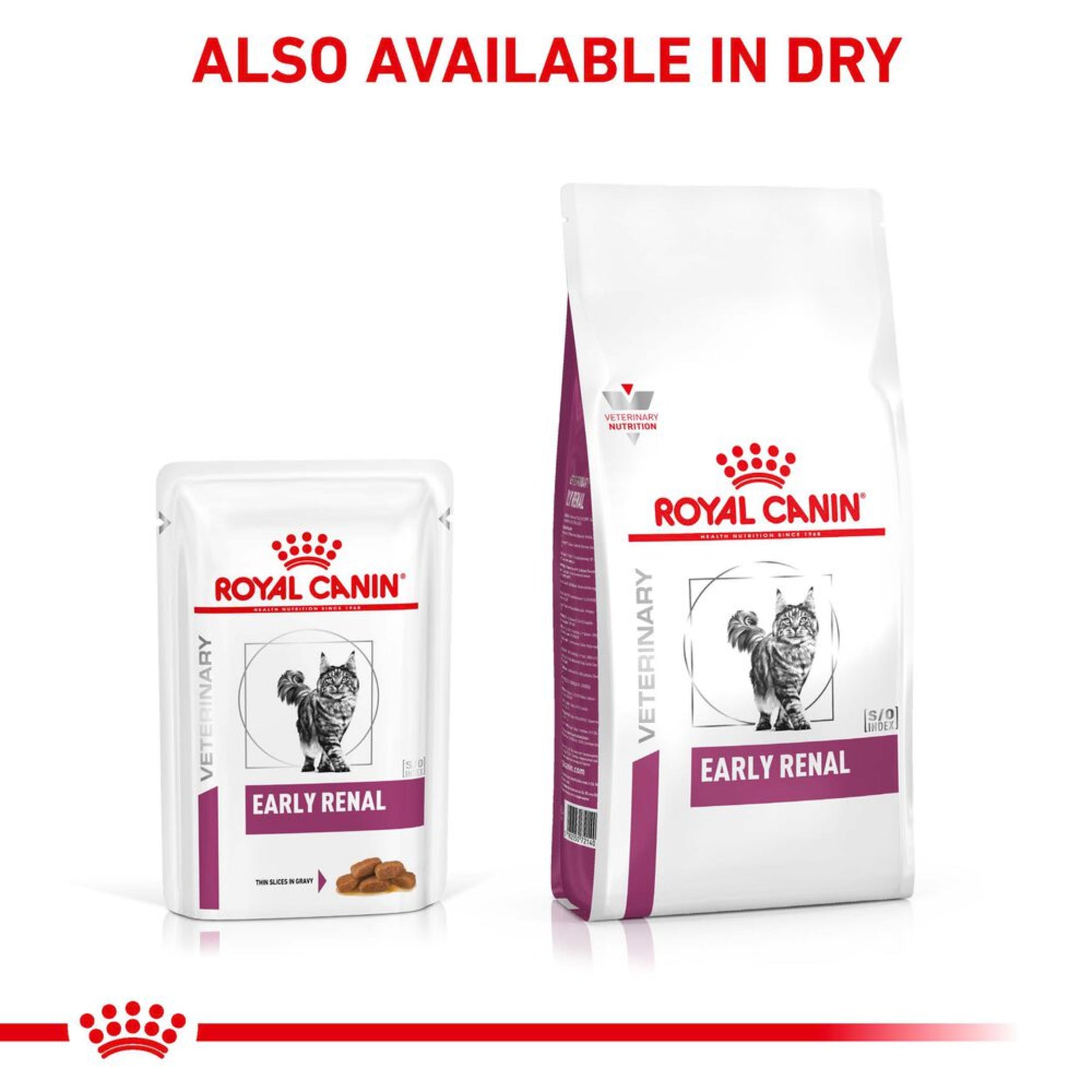 ROYAL CANIN® Early Renal Adult Wet Cat Food 48s