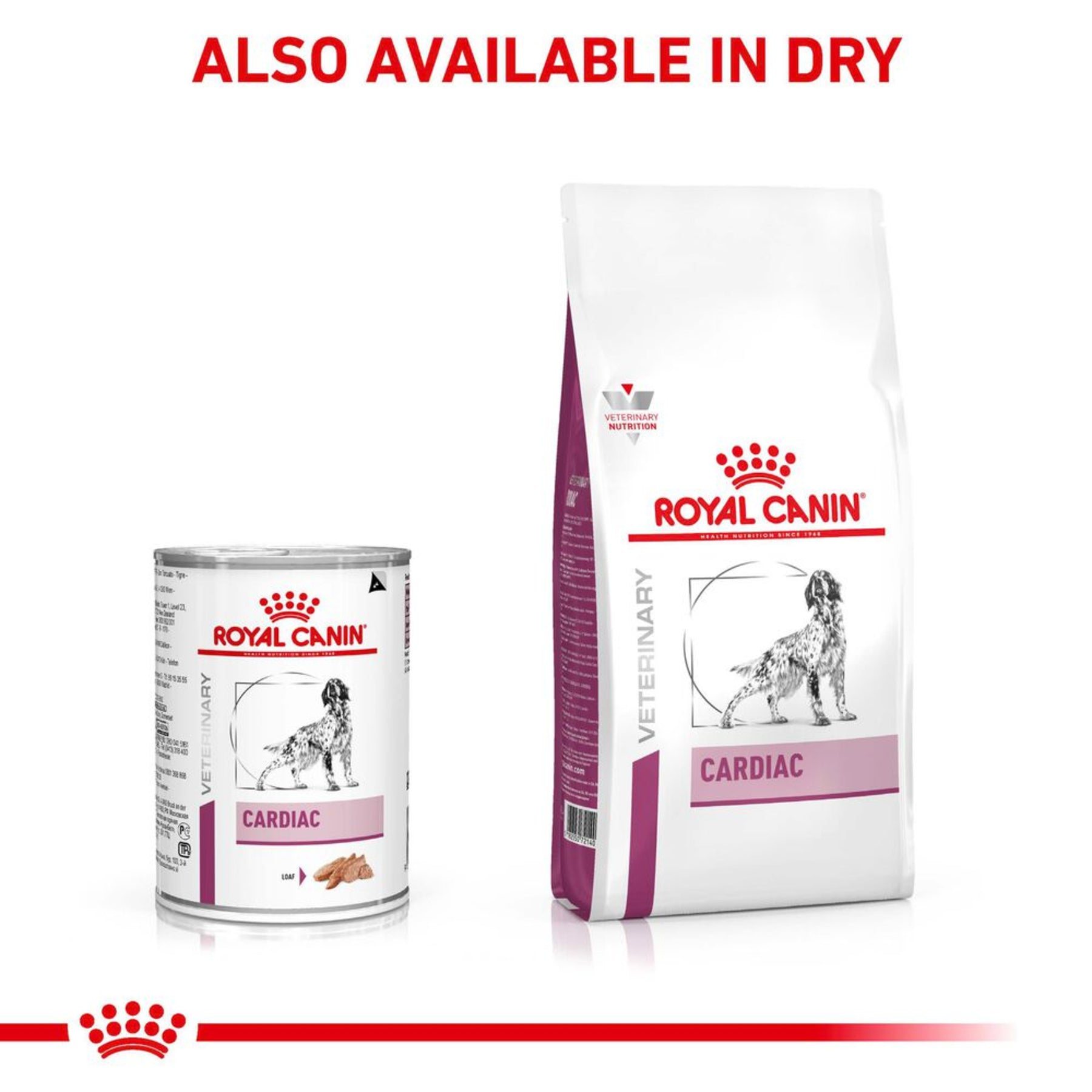 ROYAL CANIN® Cardiac Adult Wet Dog Food In Loaf