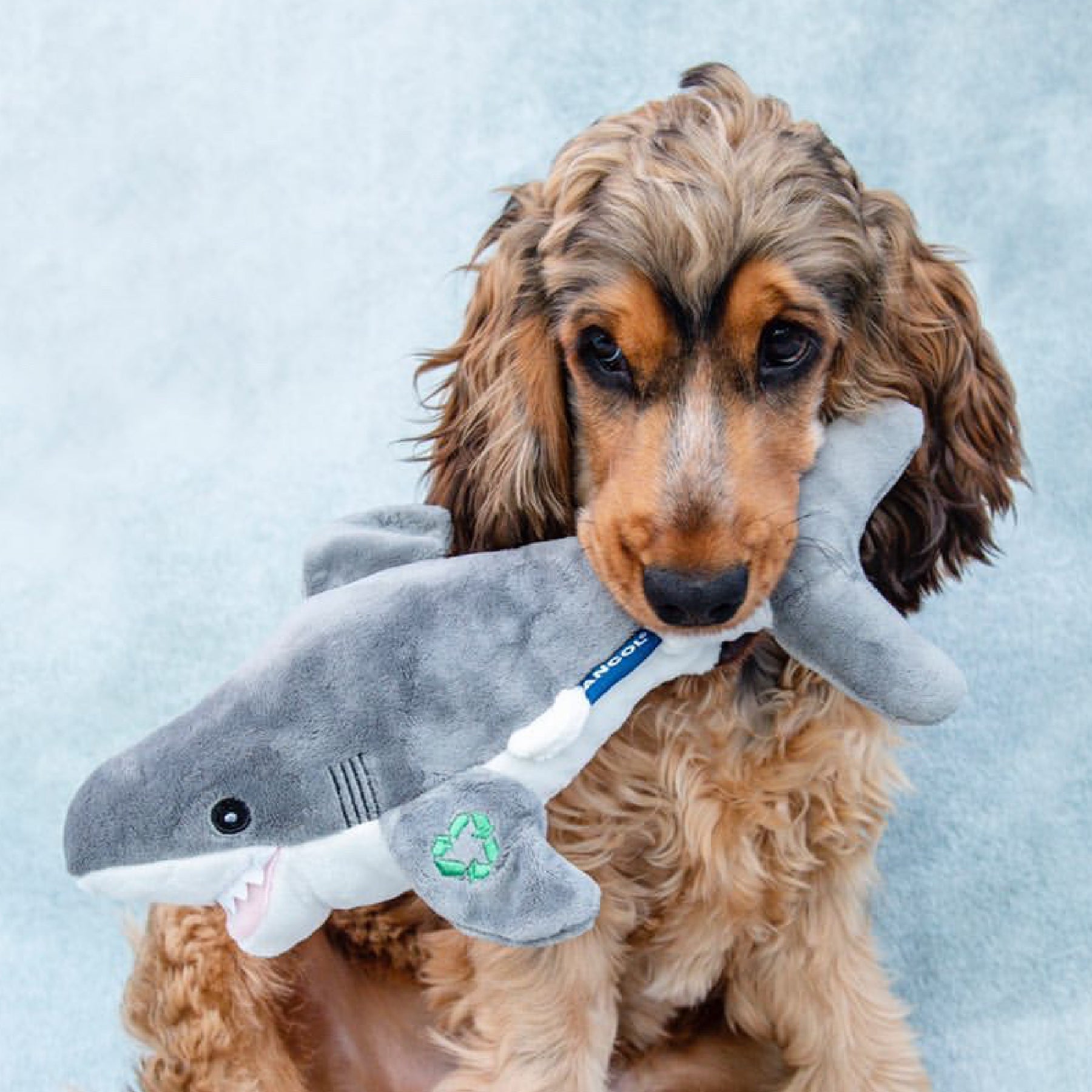 Made From Shark Cuddler Dog Toy